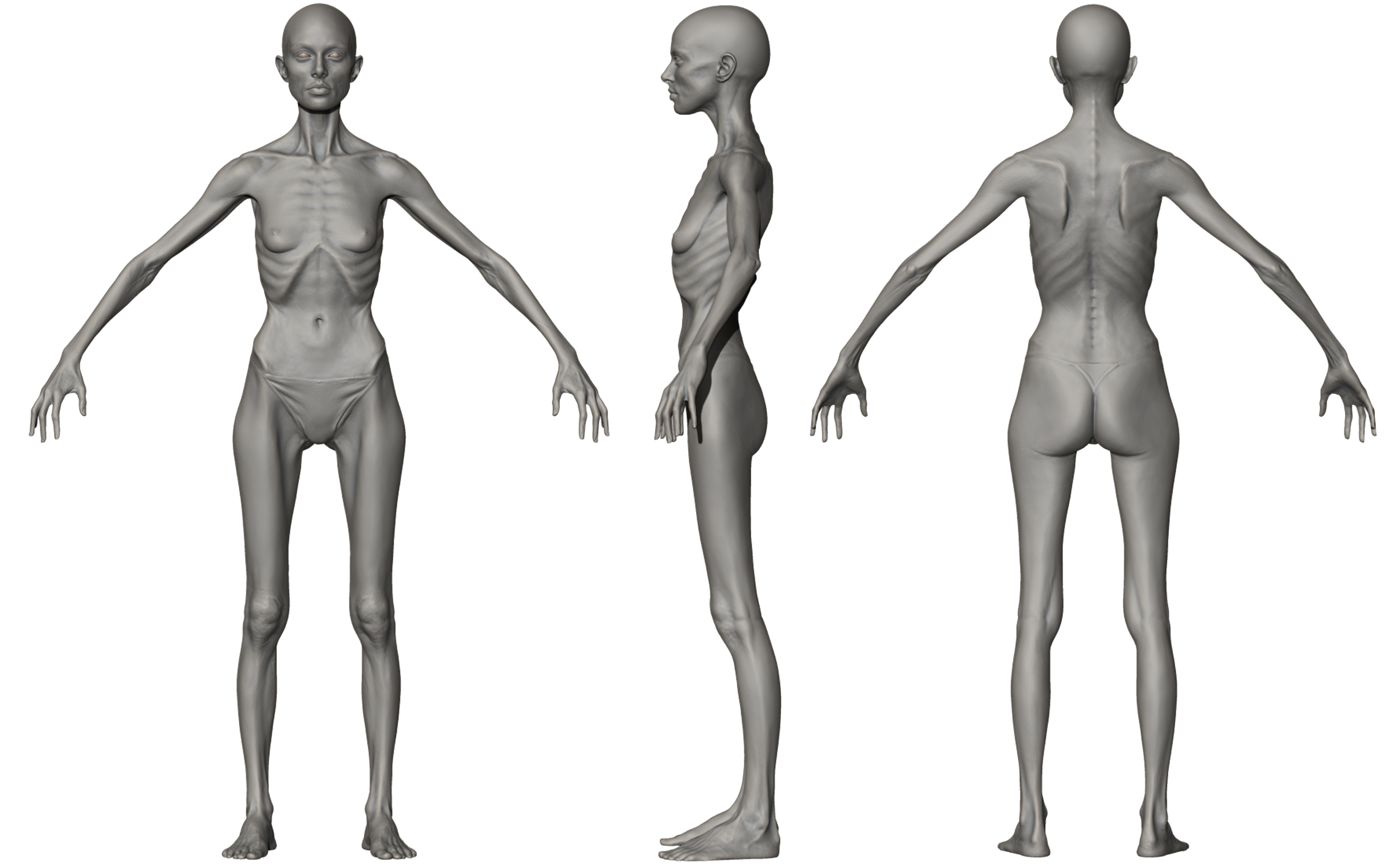 Download emaciated female body model 3d
