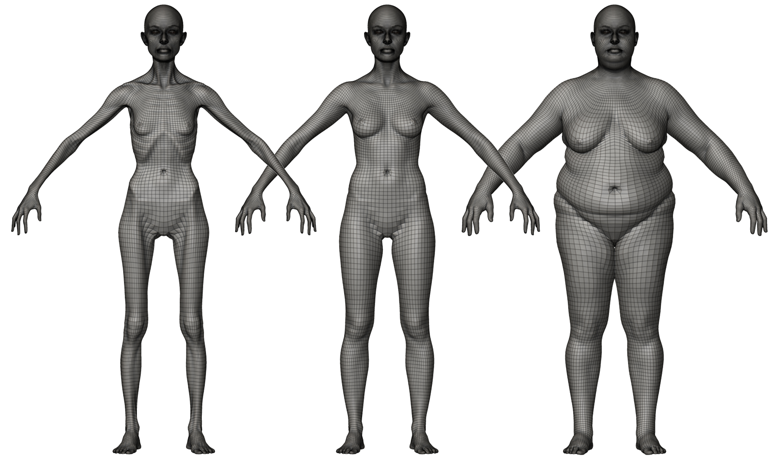 3d body model topology, retopology