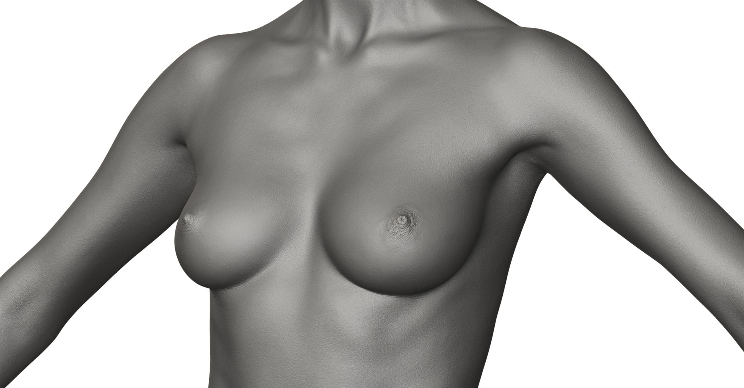 Download female chest 3d model zbrush