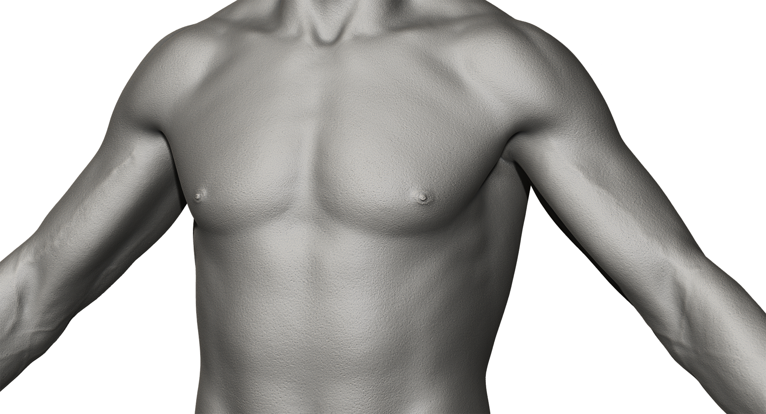 Download Male Zbrush body sculpt model