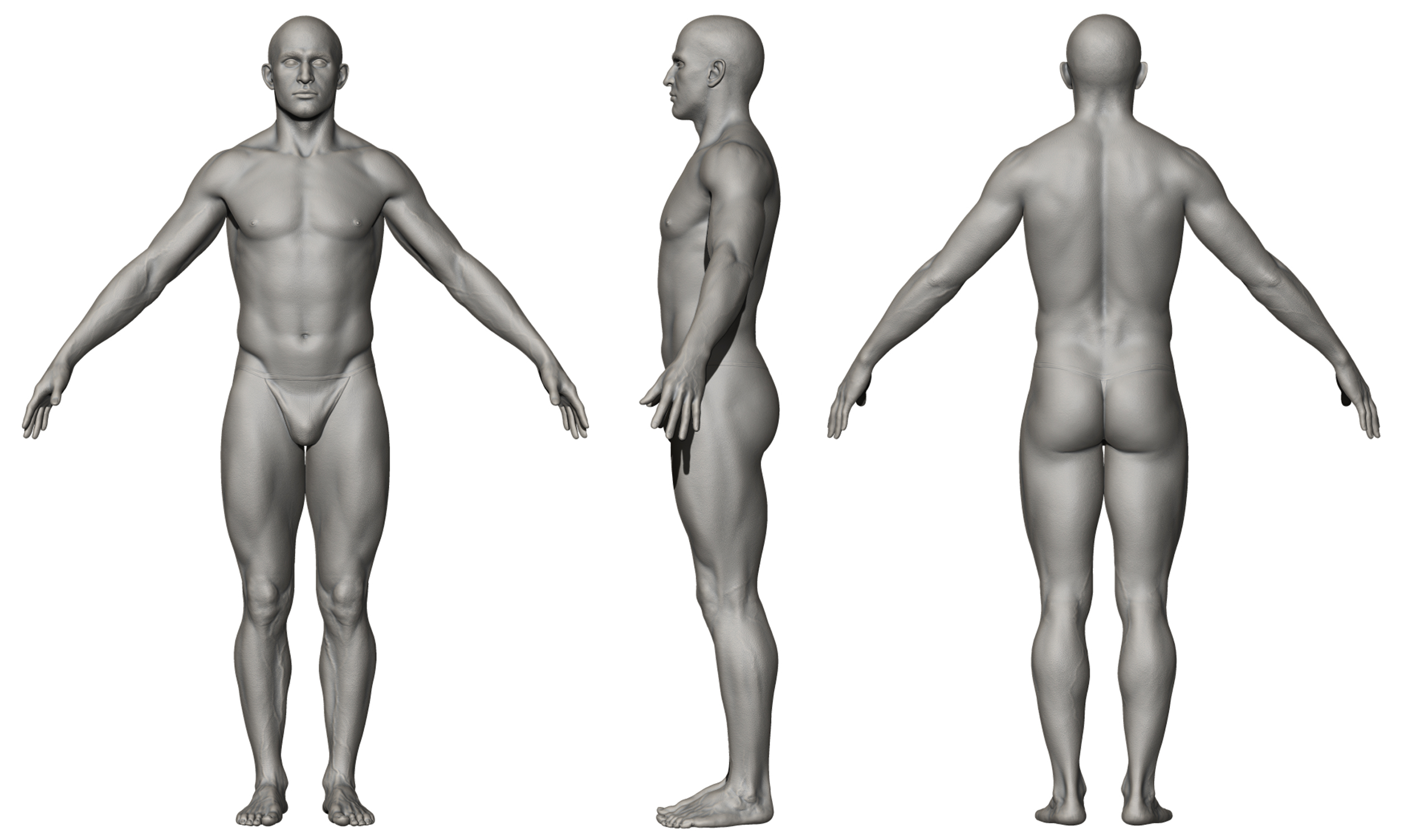 Athletic male 3d sculpt model download Zbrush