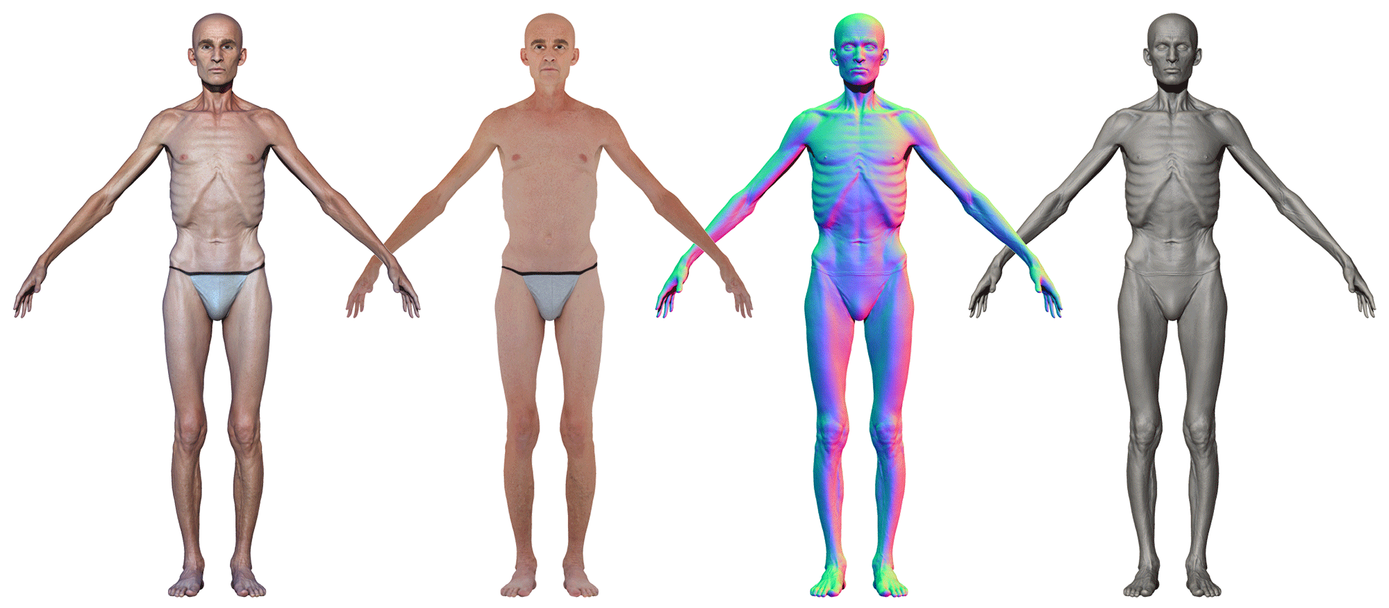 Download male 3d model body morph fat, thin