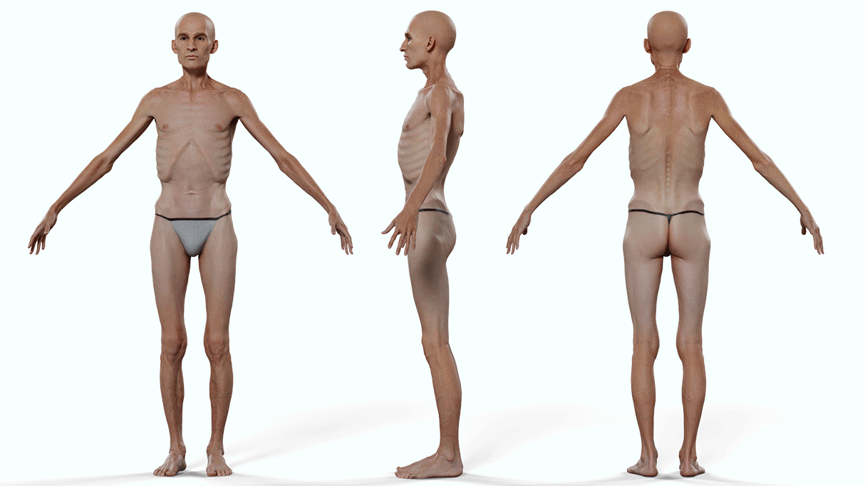 Download male 3d model body with fat to thin morph in Zbrush