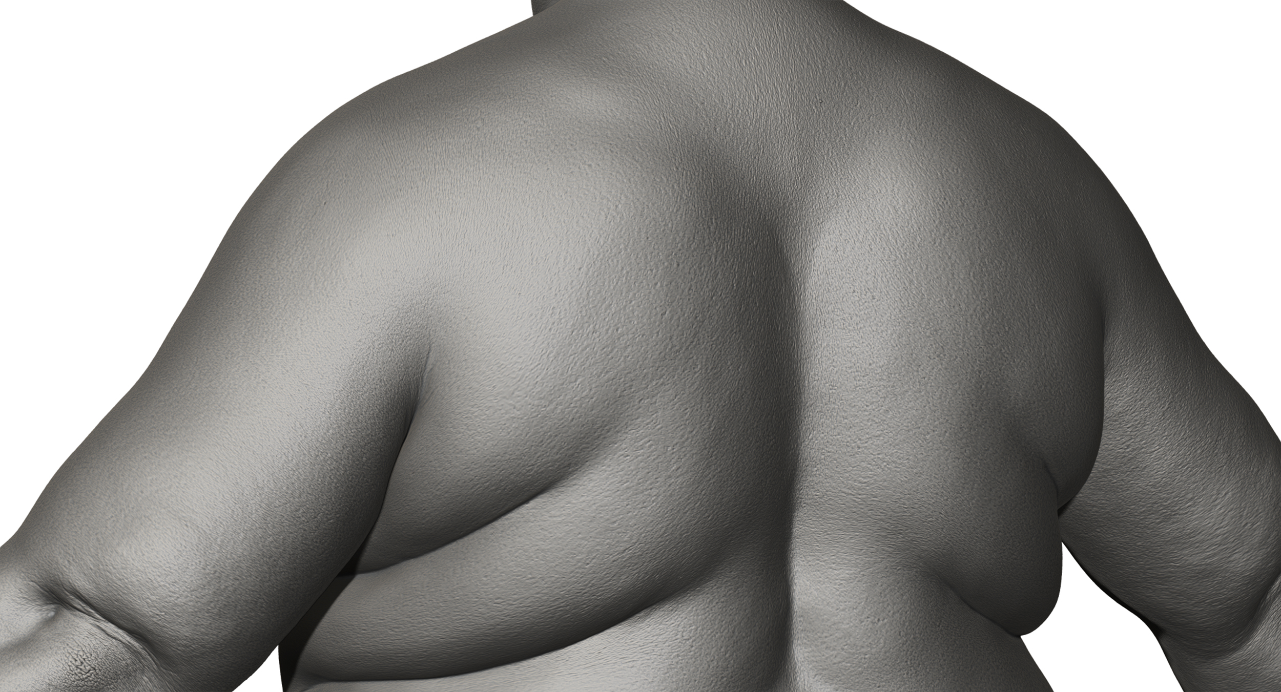Download fat male 3d body model Zbrush sculpt 