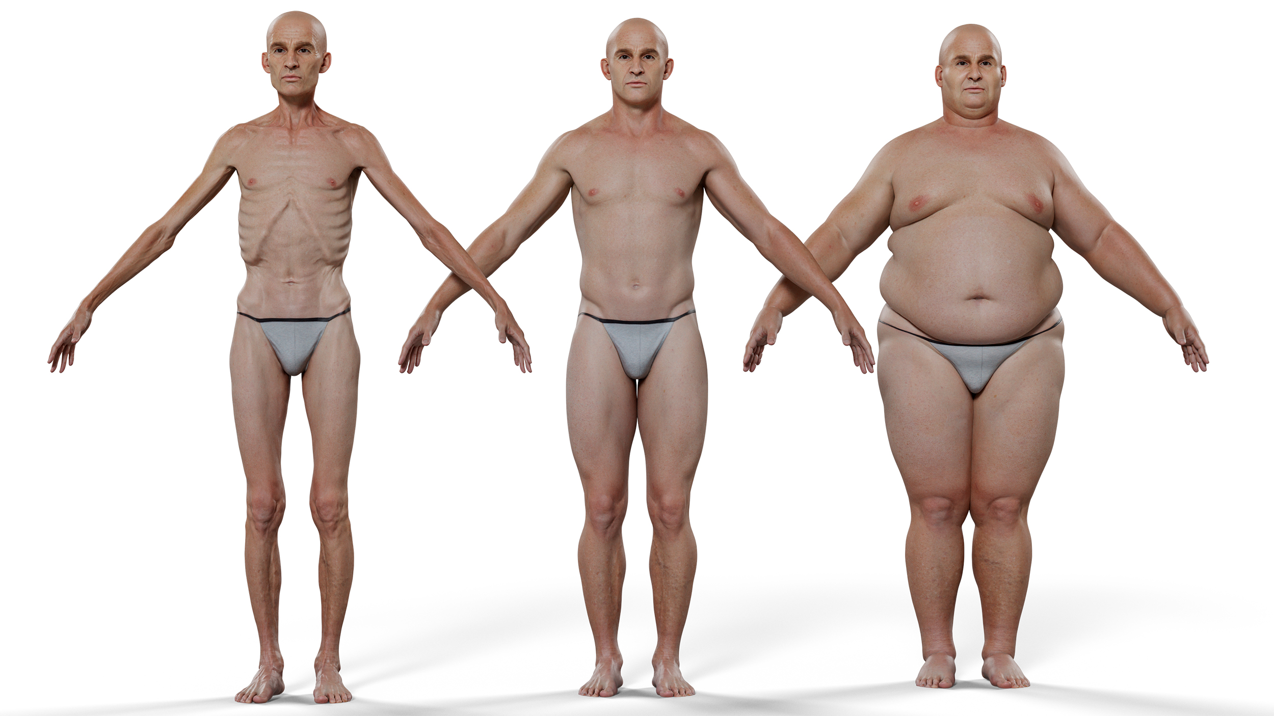 Download skinny to fat male 3d model Zbrush