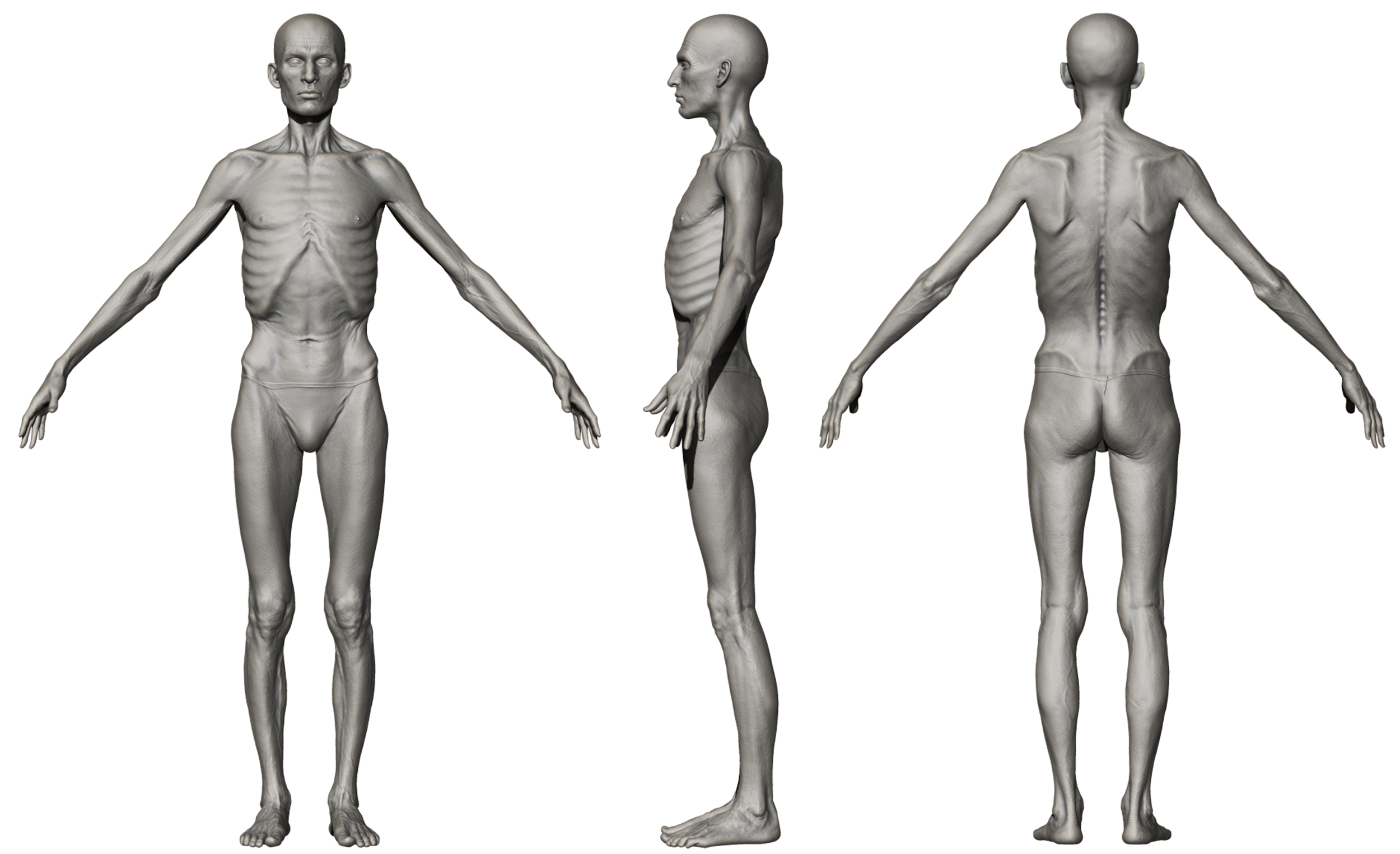 3D male model skinny body download 
