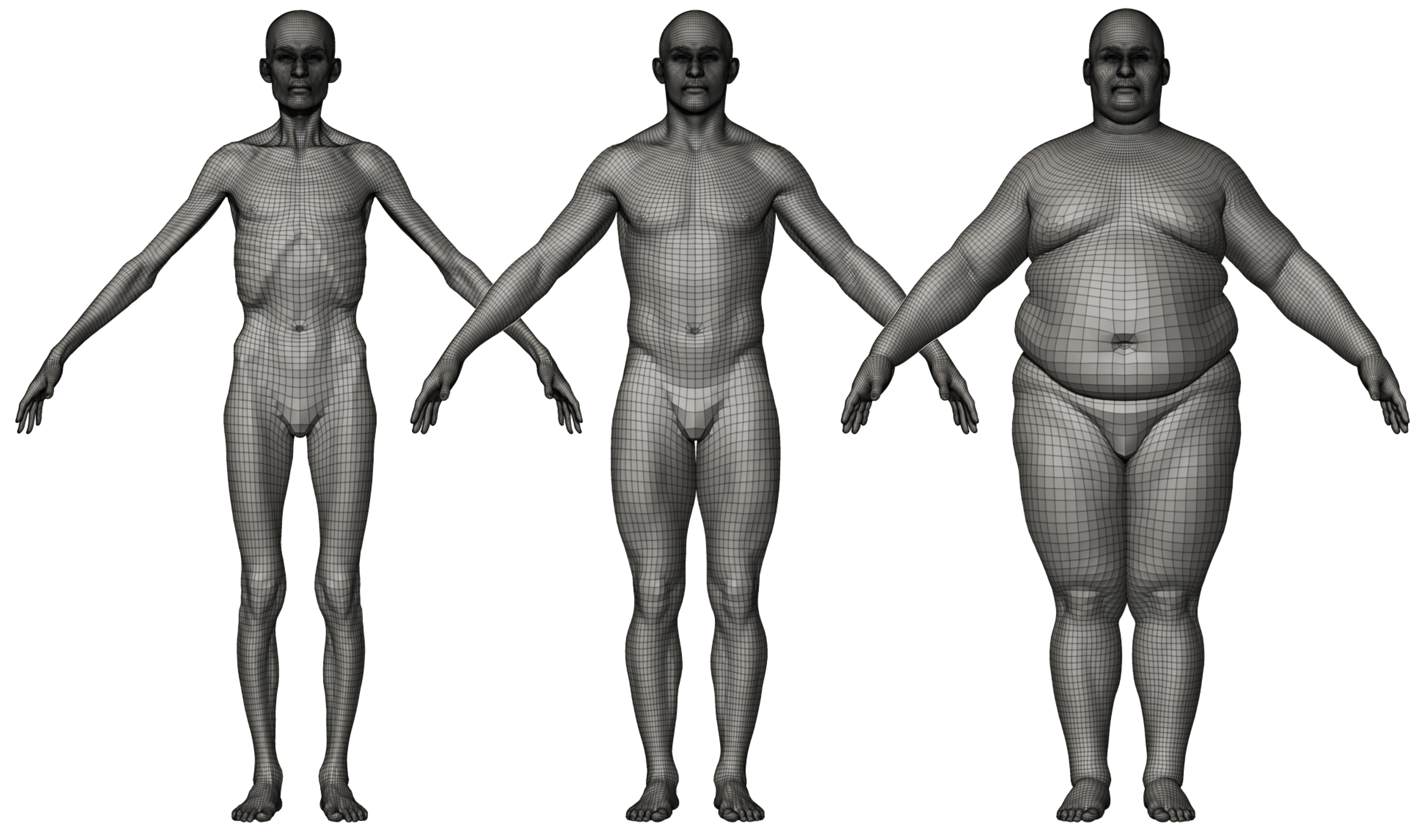 Male 3d body topology download base mesh