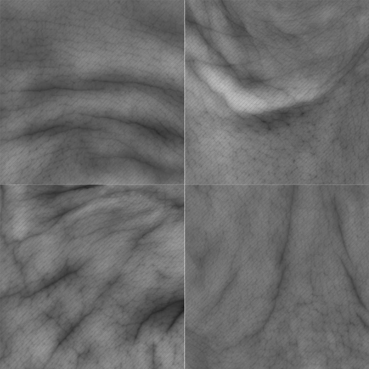 Female 14 / HD Displacement Map