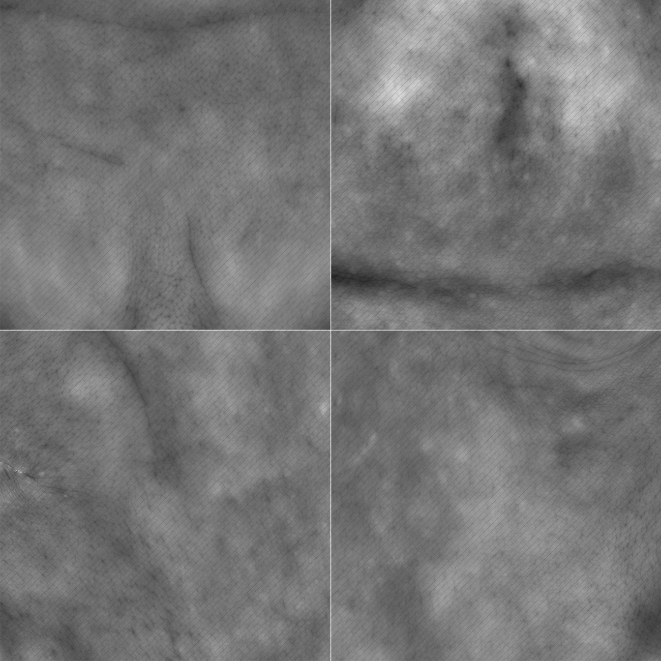 Male 15 / HD Displacement Map