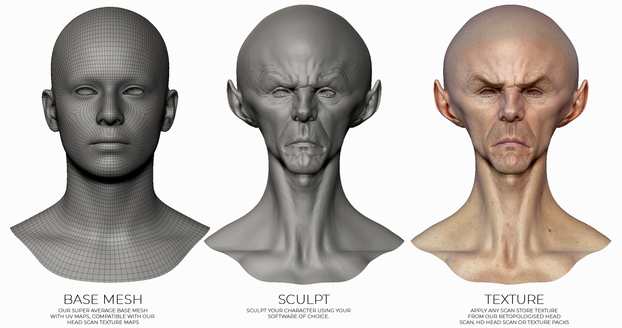 Zbrush head Base Mesh. Base Mesh человека. Base Mesh download.