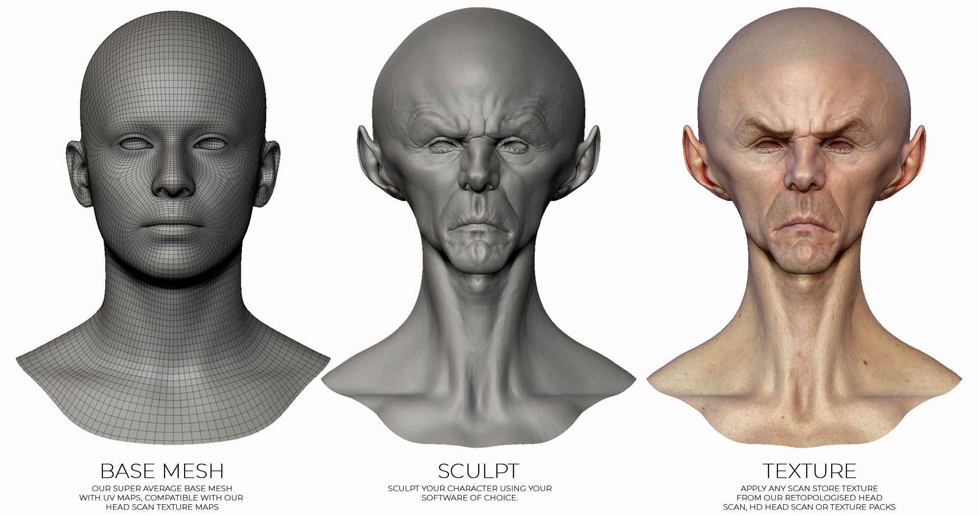 Zbrush head Base Mesh. Base Mesh человека. Base Mesh download. Based heads