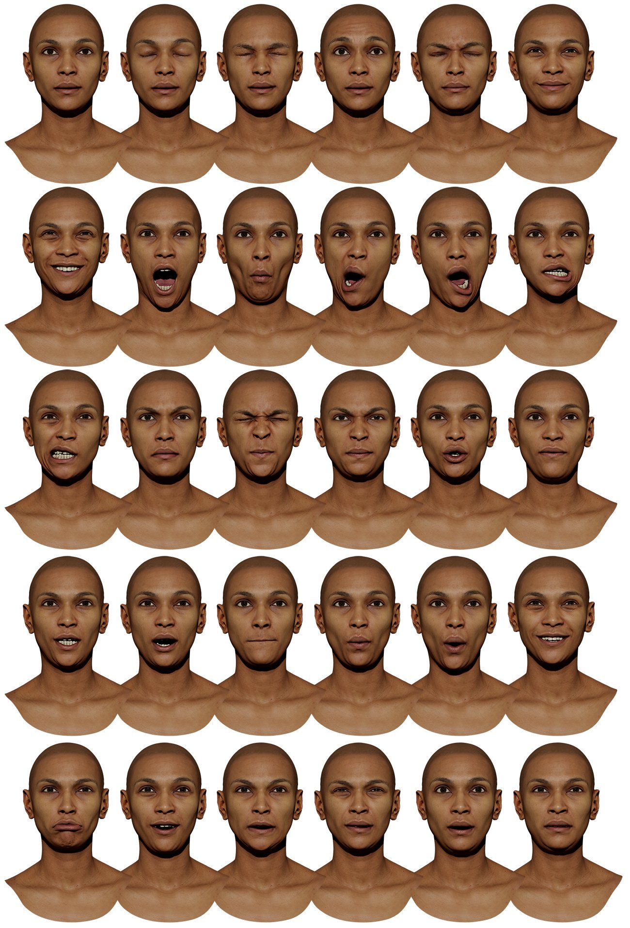 Download FACS expressions 3d models