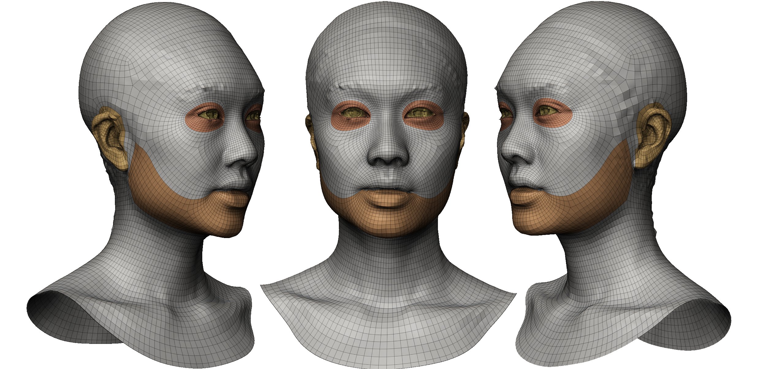 Download Female Face Topology