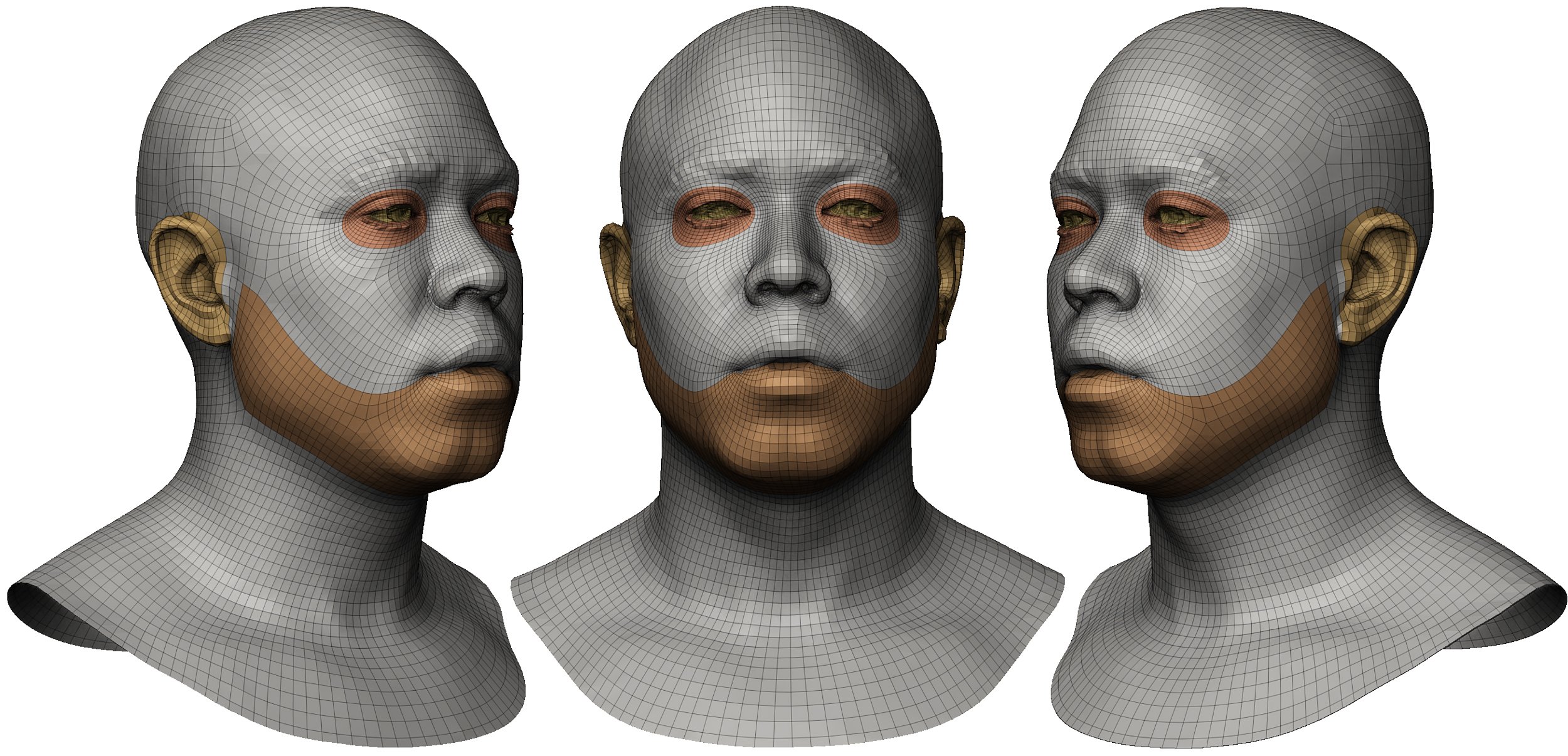 Male 3d Face scan download 