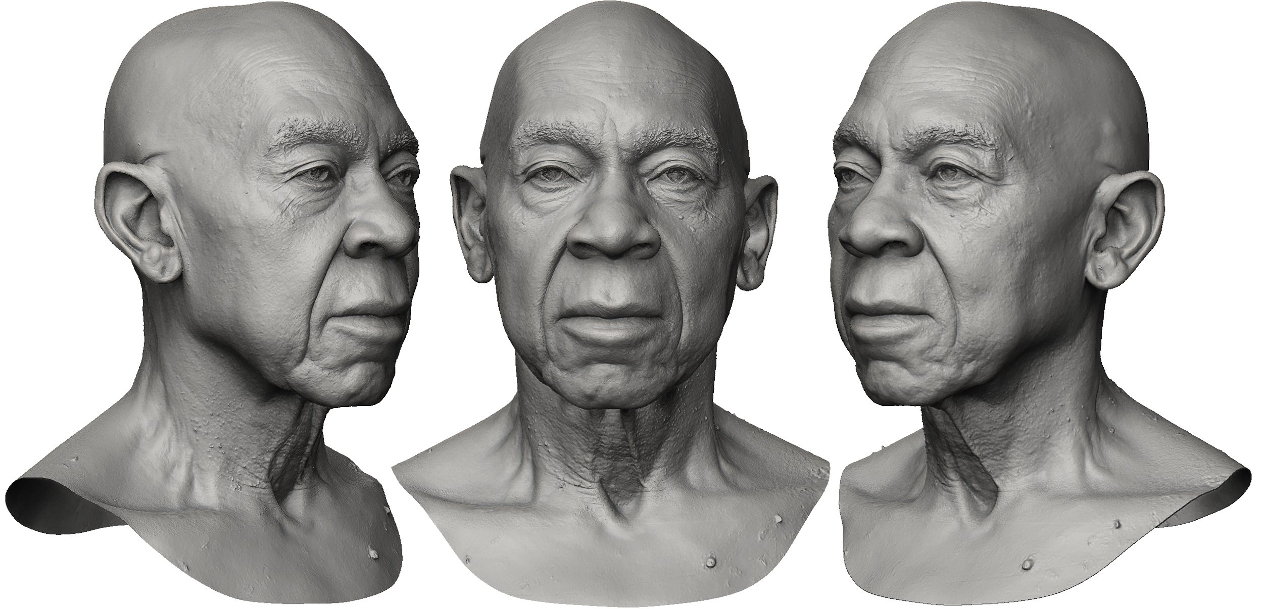 3D Head model download Male Face