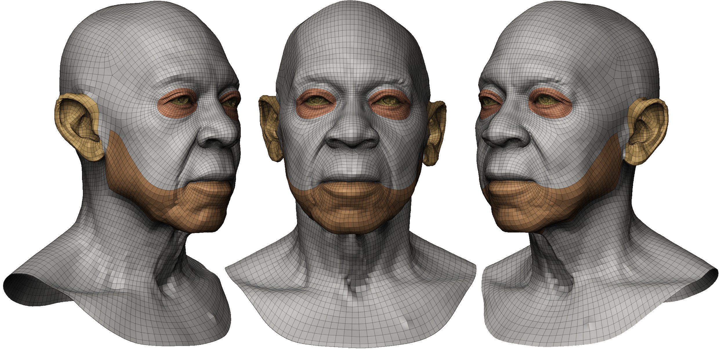 Head topology 3D Model Male UV mapped