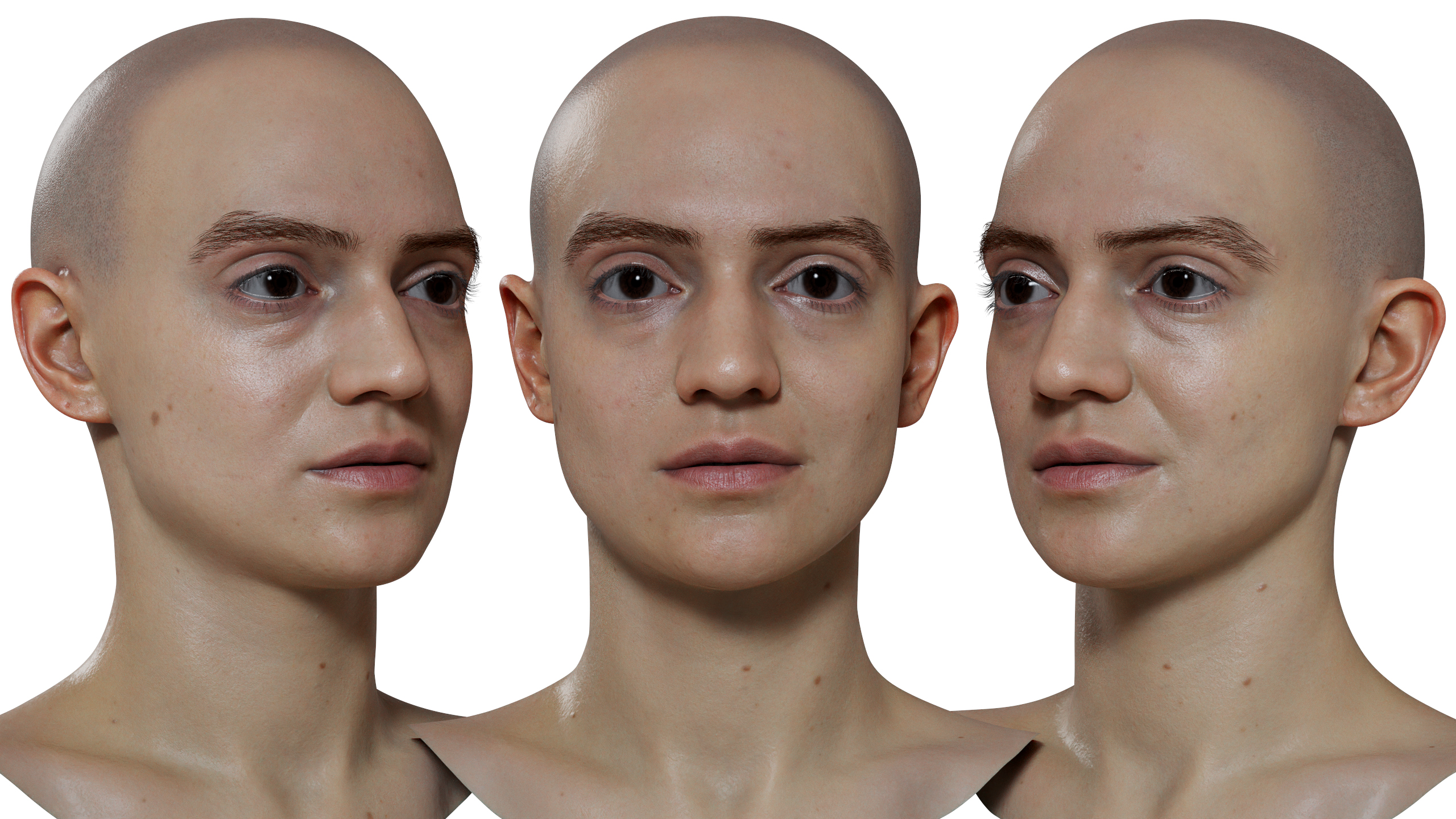 Download realistic female 3d head model
