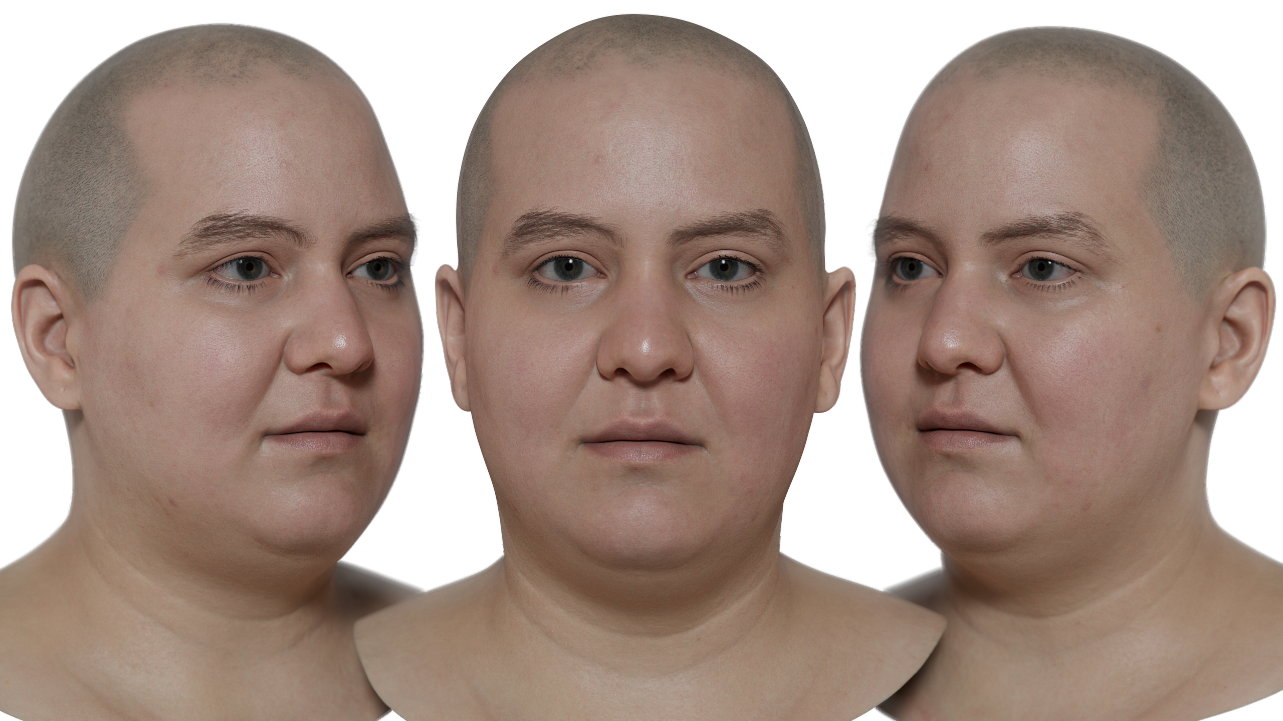 Download Asian male 3d head model scan