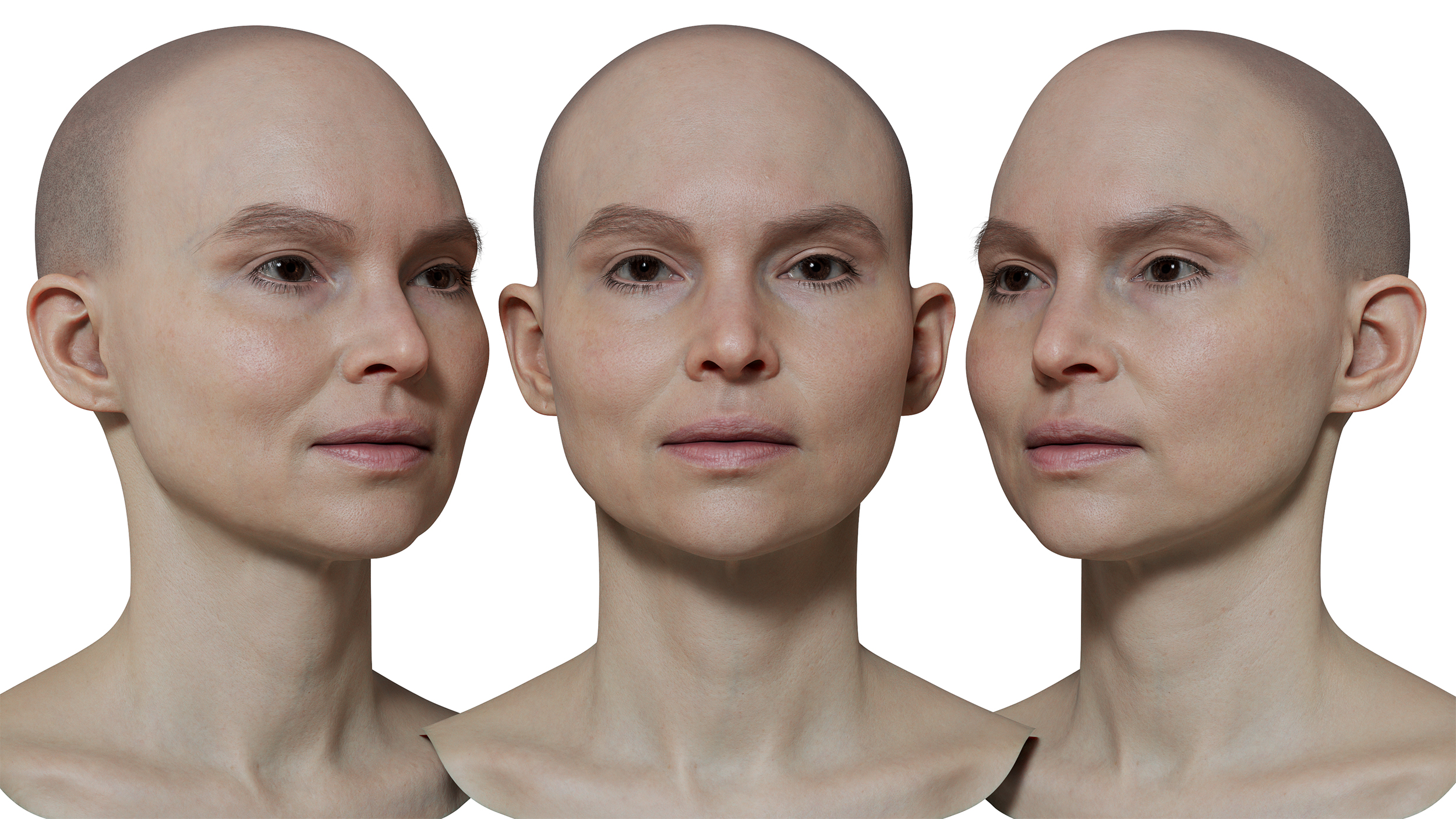 Download female 3d head model scan