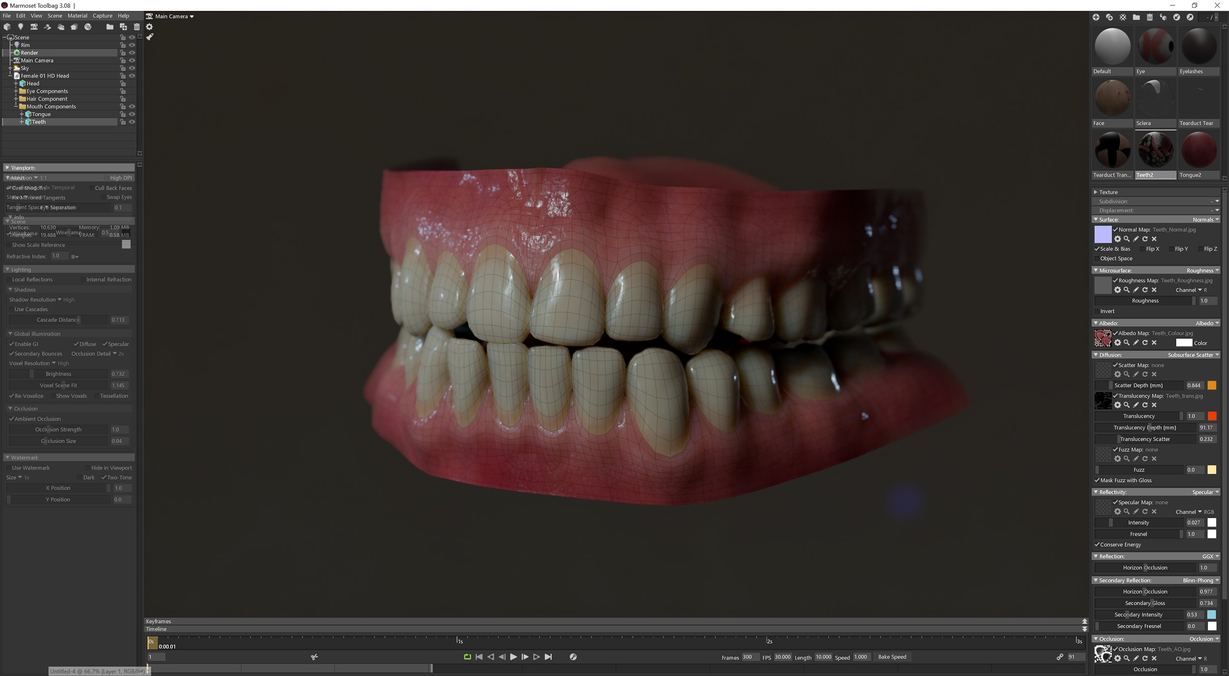 Download realtime 3d teeth models