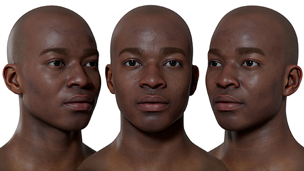 Download 3d head scan male