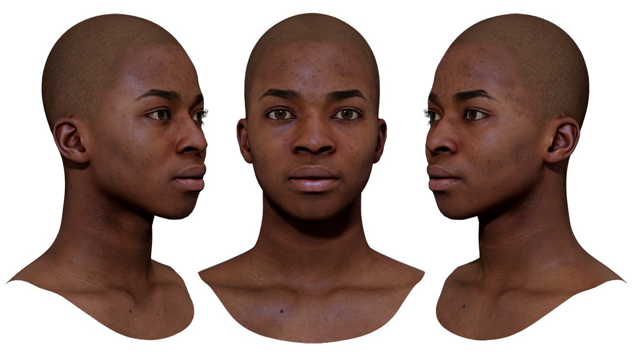 12 x Male 3D Head Model Bundle | by 3dscanstore.com