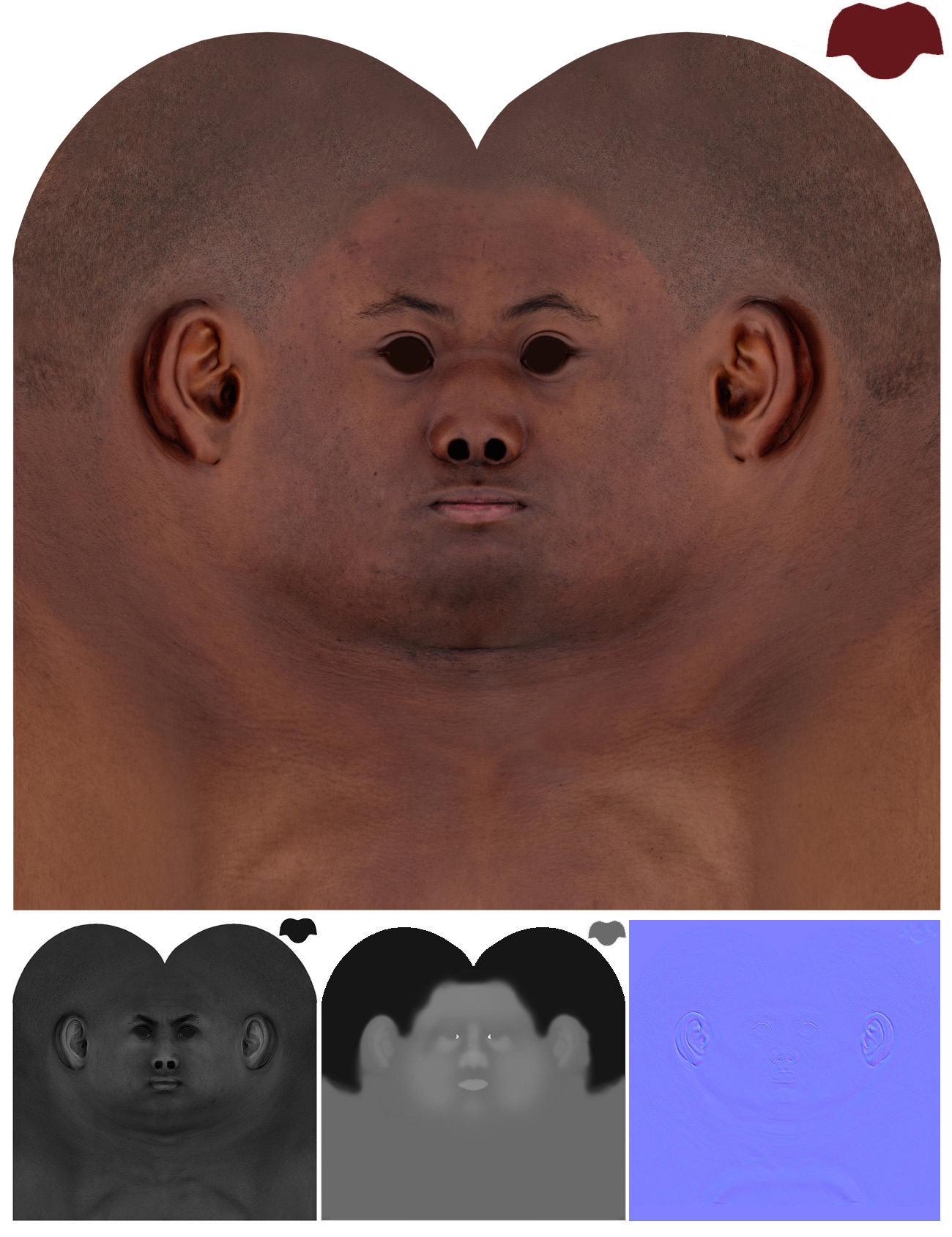 Male 3D model / Retopologised Head Scan 017