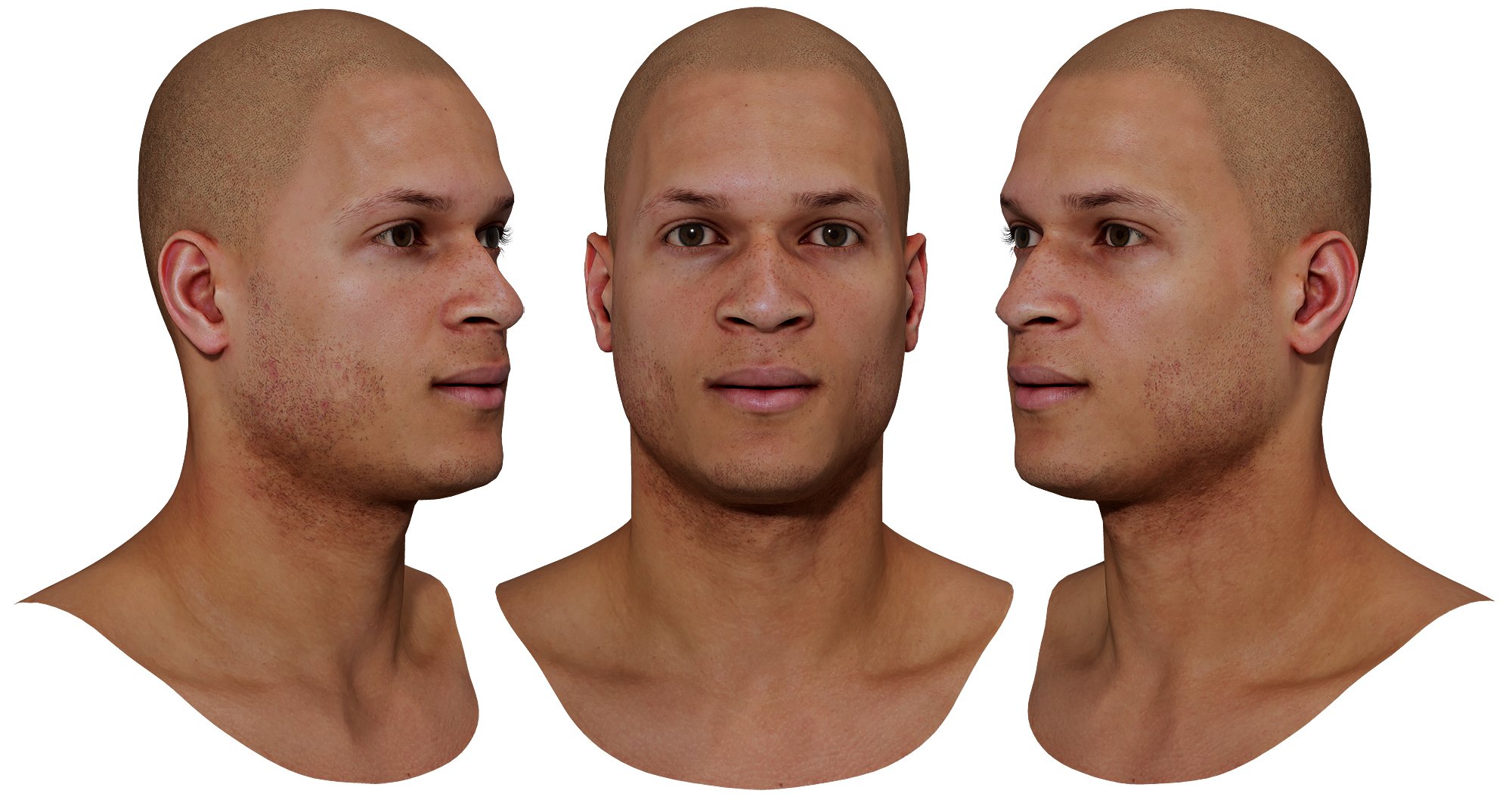 Downloads realistic 3d head models