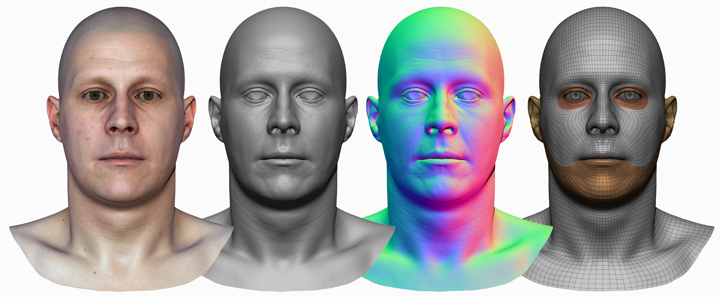 Male 3D model / Retopologised Head Scan 44
