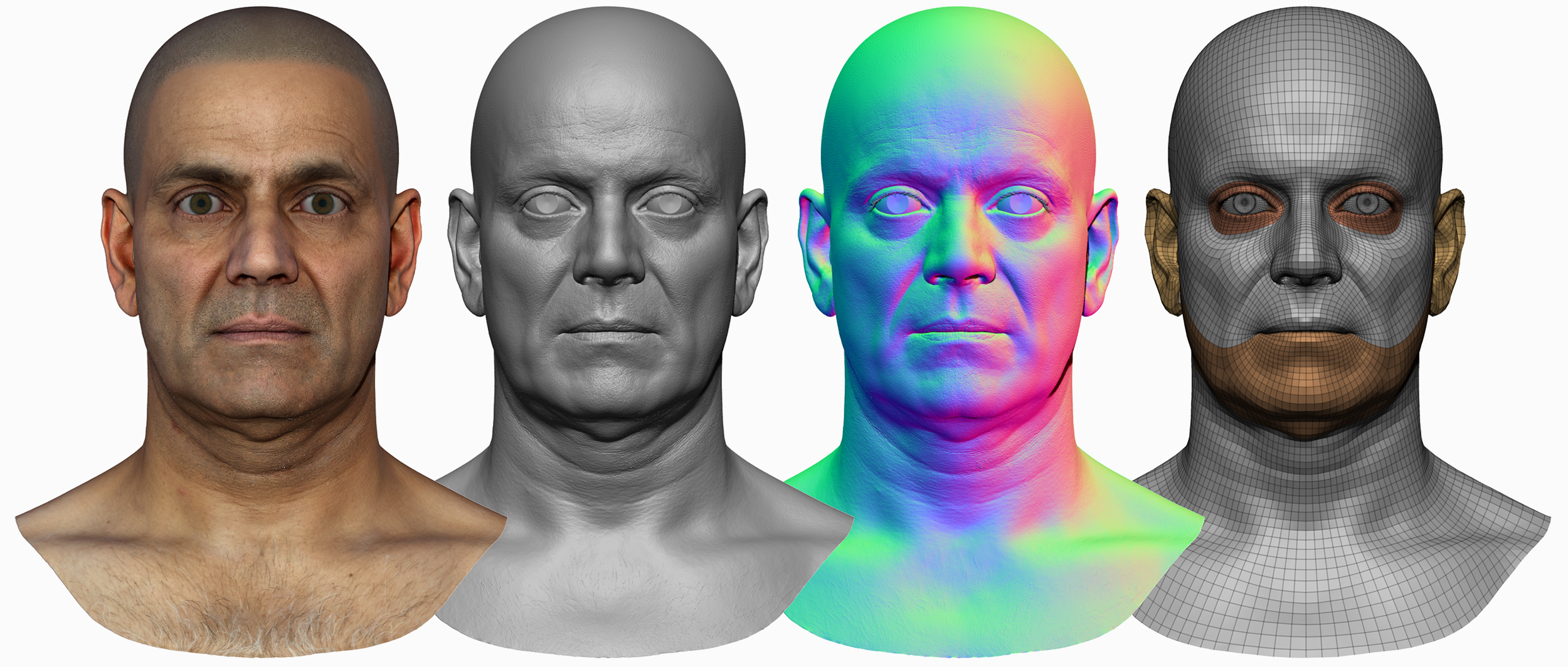 Male 3D model / Retopologised Head Scan 45