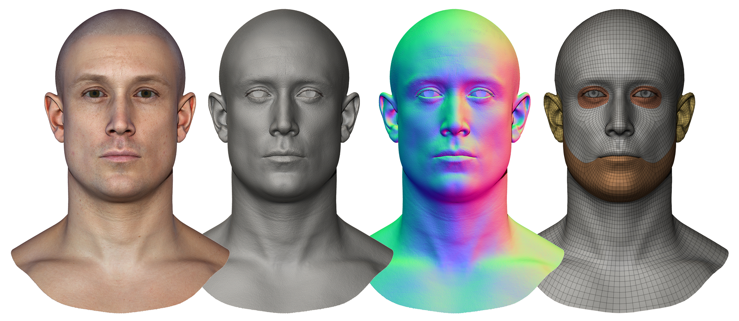 Male 3D model / Retopologised Head Scan 48