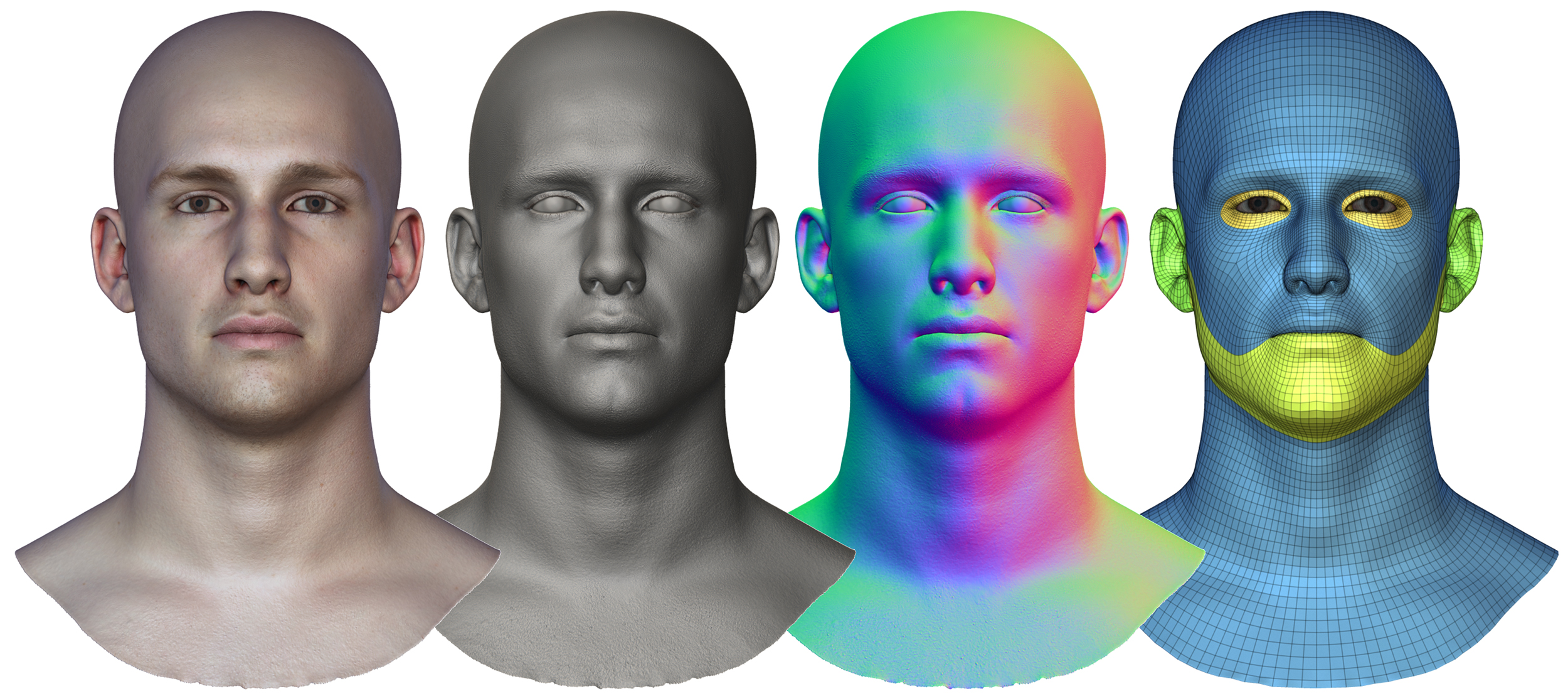 Male 3D model / Retopologised Head Scan 51