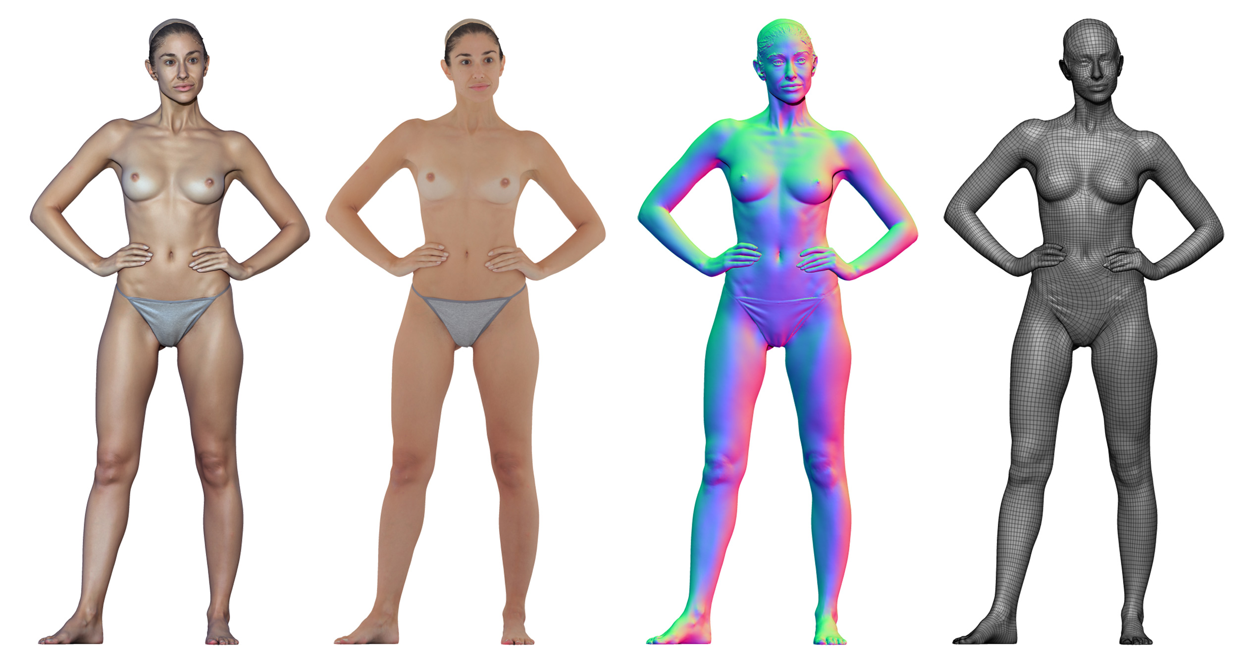 Female anatomy Female Photo References Female 02 Anatomy Reference Pose 013