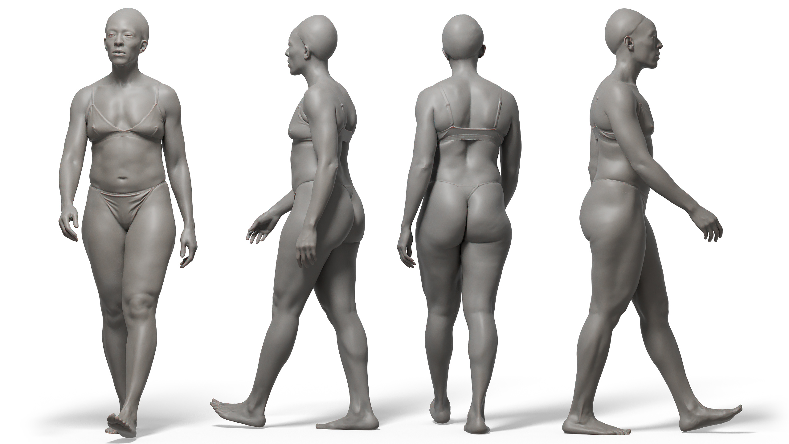 Female anatomy Female Photo References 