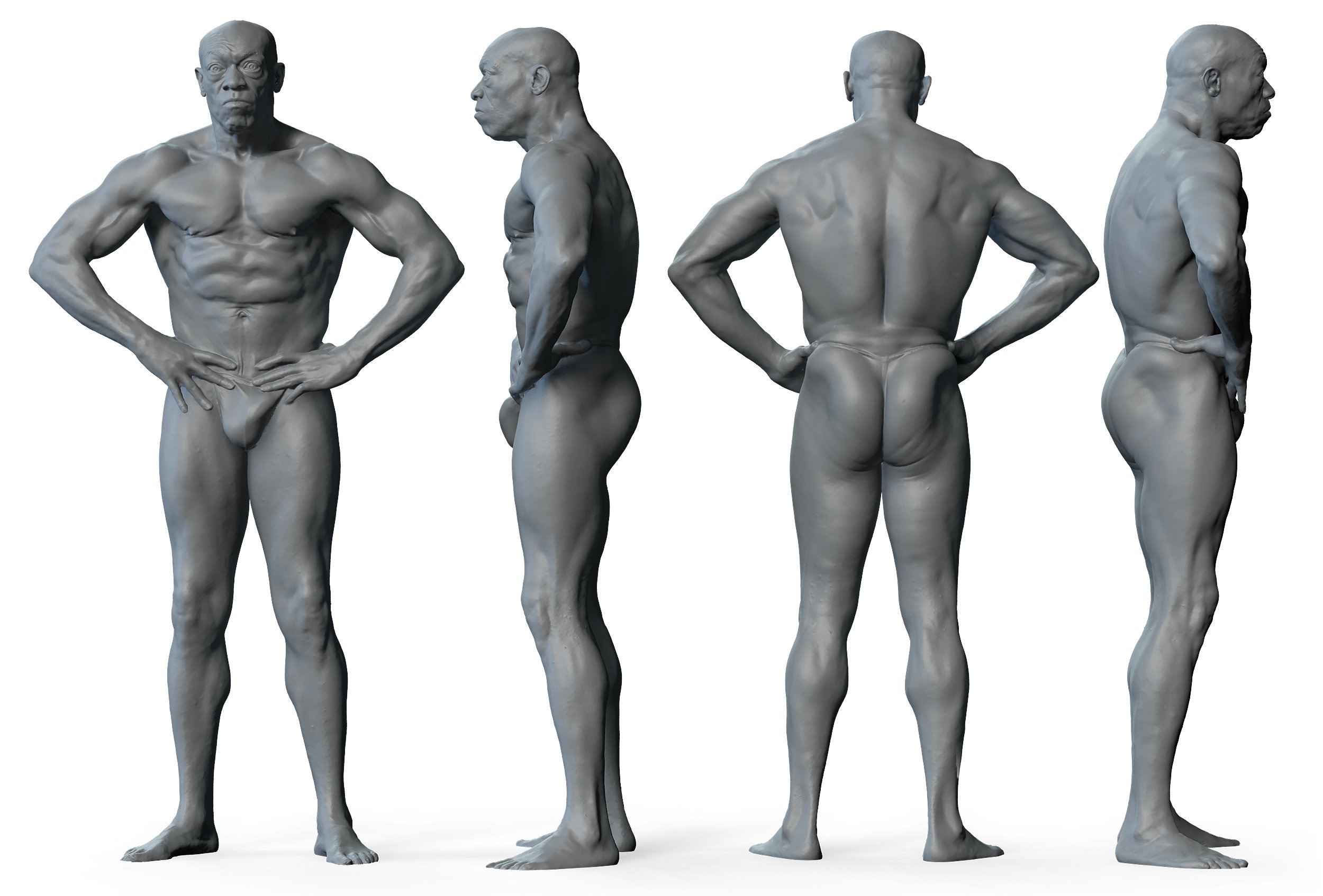 3D male anatomy reference 3d model download