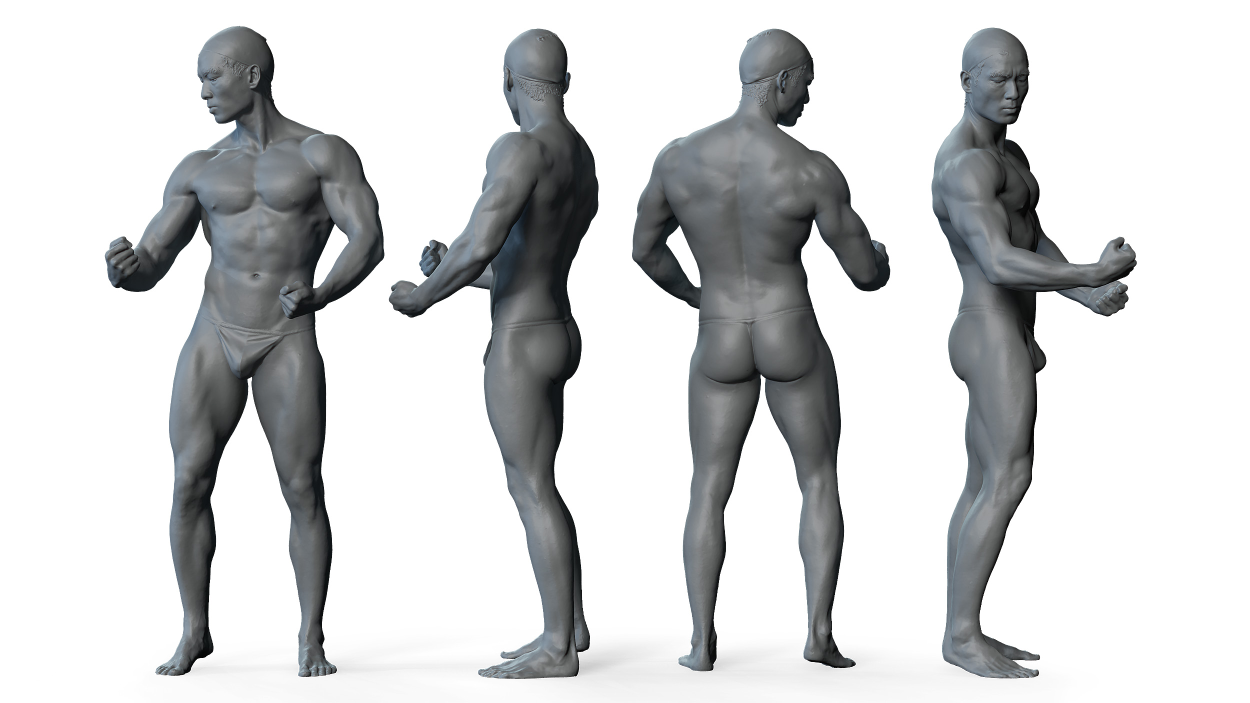 3D male anatomy reference 3d model download. 