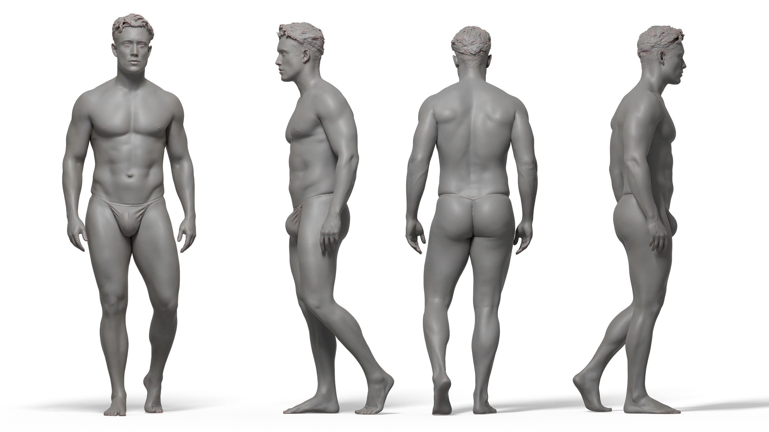3D male anatomy reference 3d model download. 