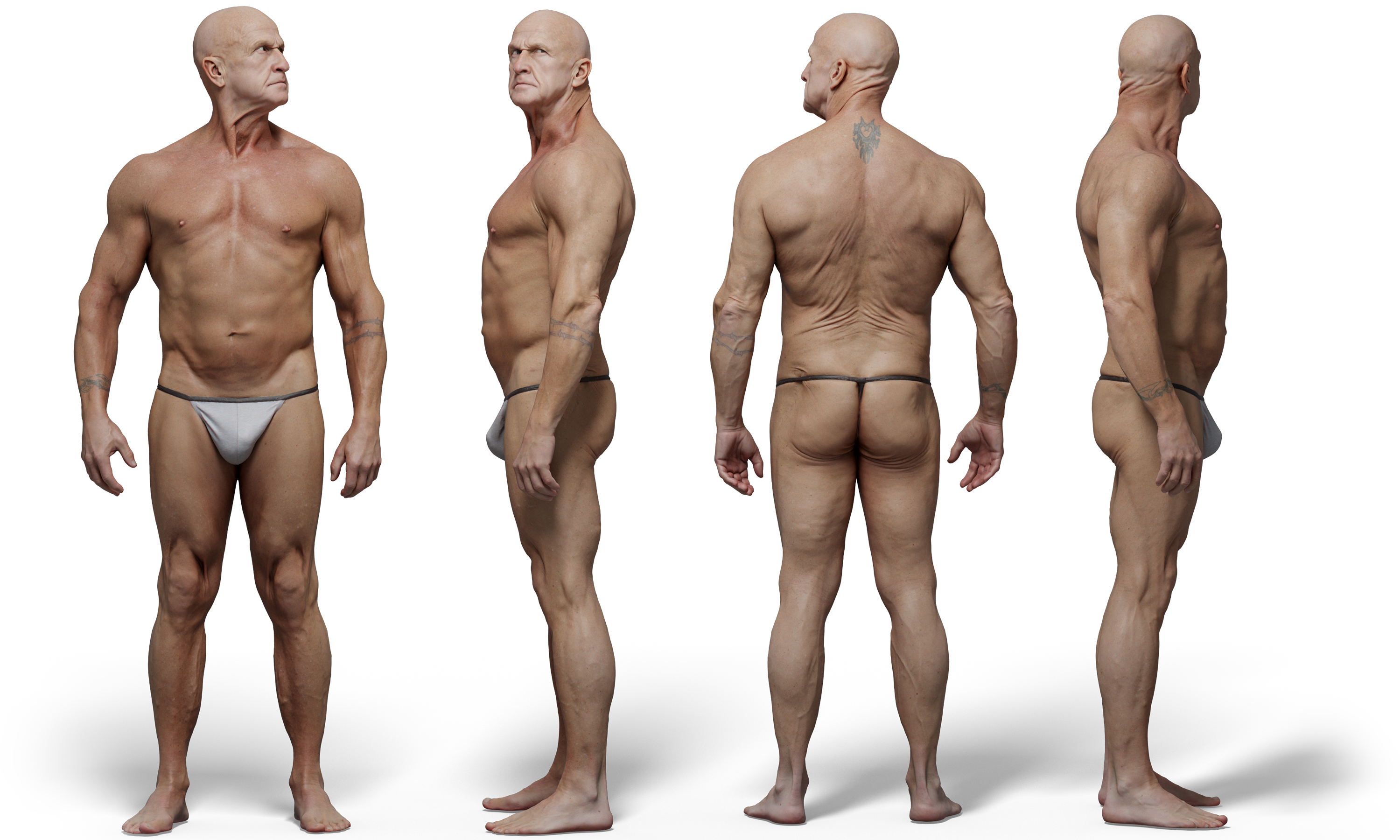 Male Anatomy reference 3d scan. 