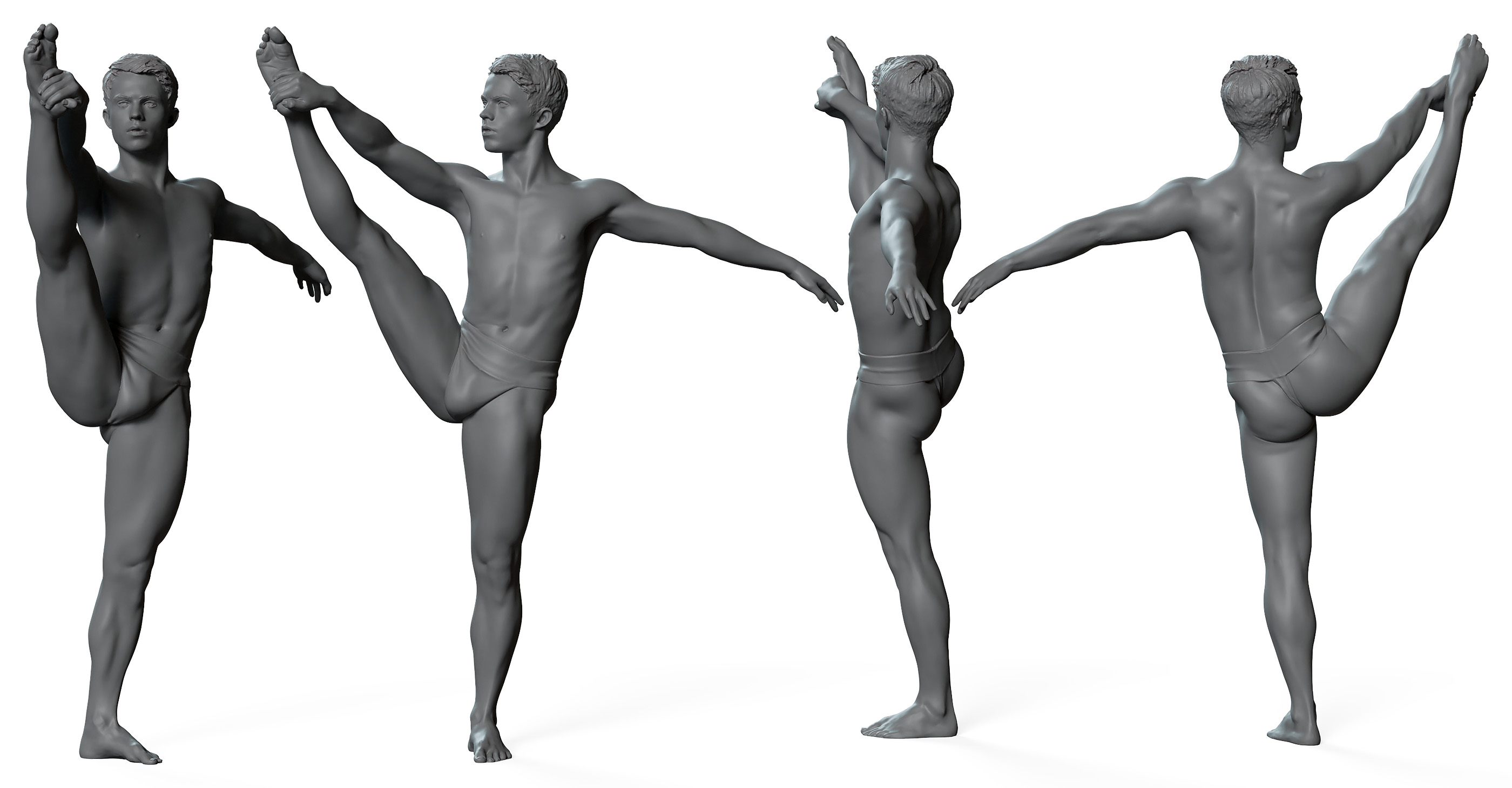 3D male anatomy reference 3d model download