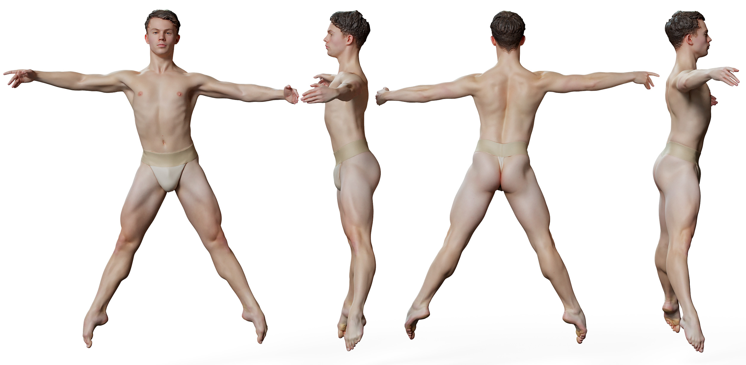Male anatomy sculpt download