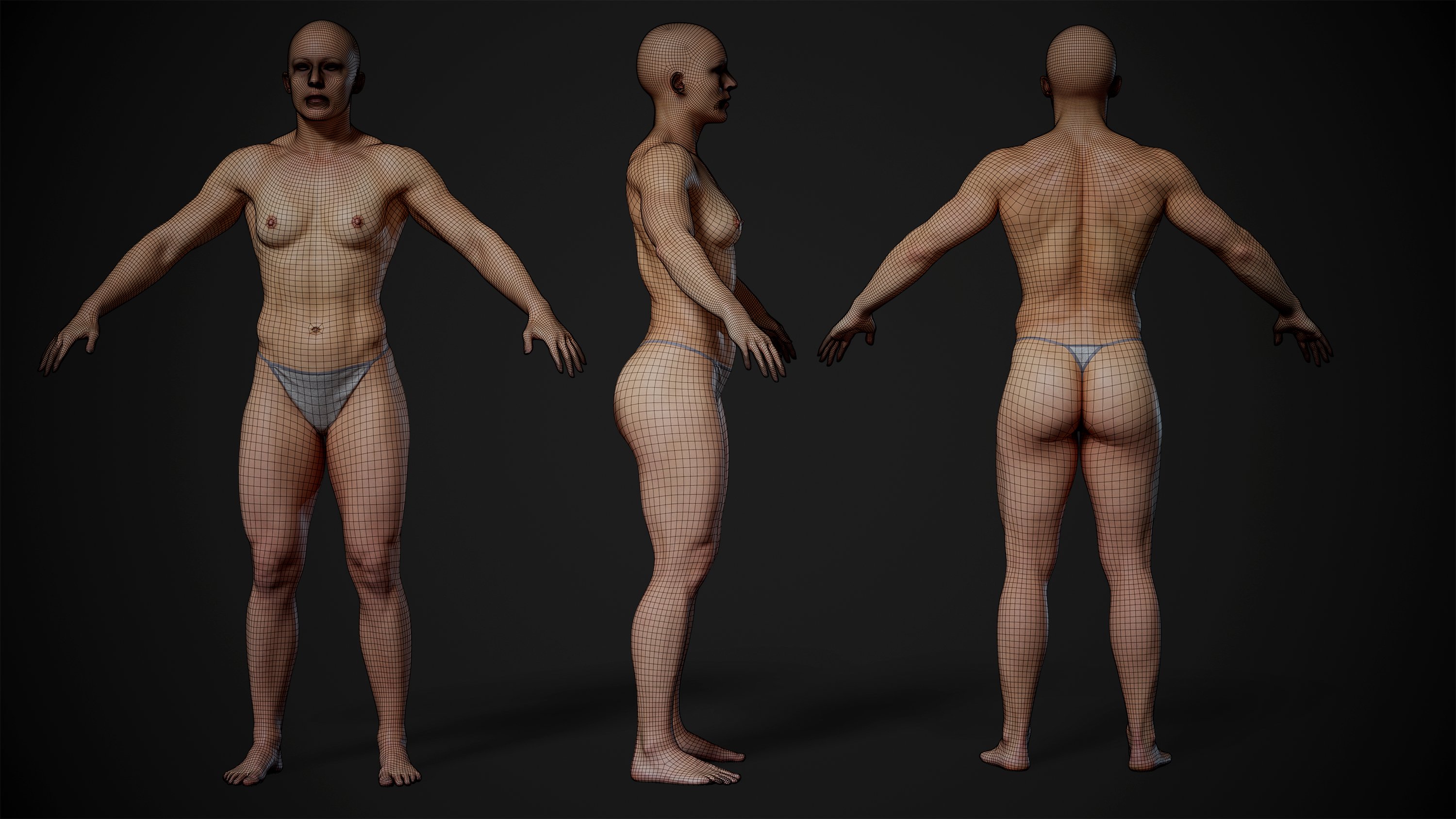 Download female 3d body base mesh model with textures