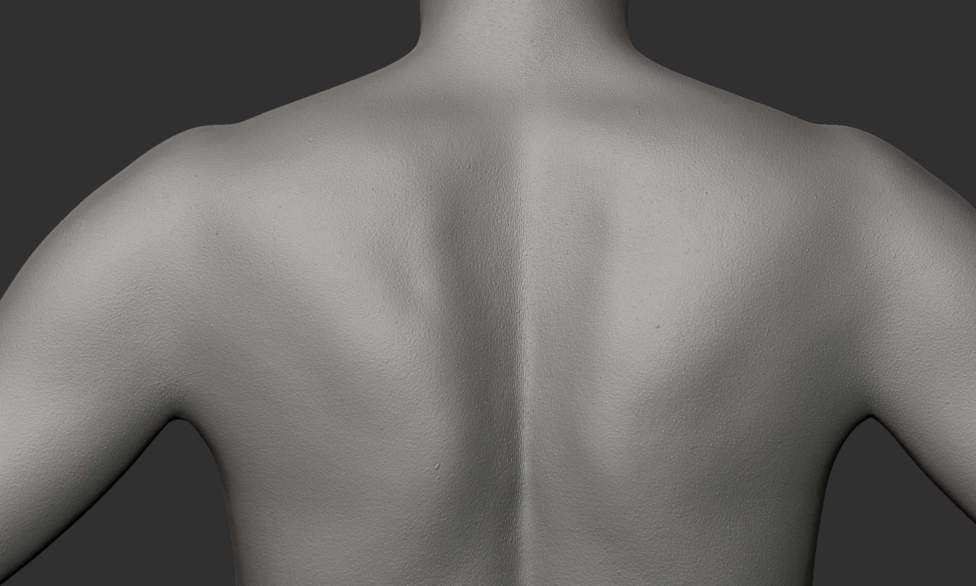 Animation Ready Body Scan / Female 08