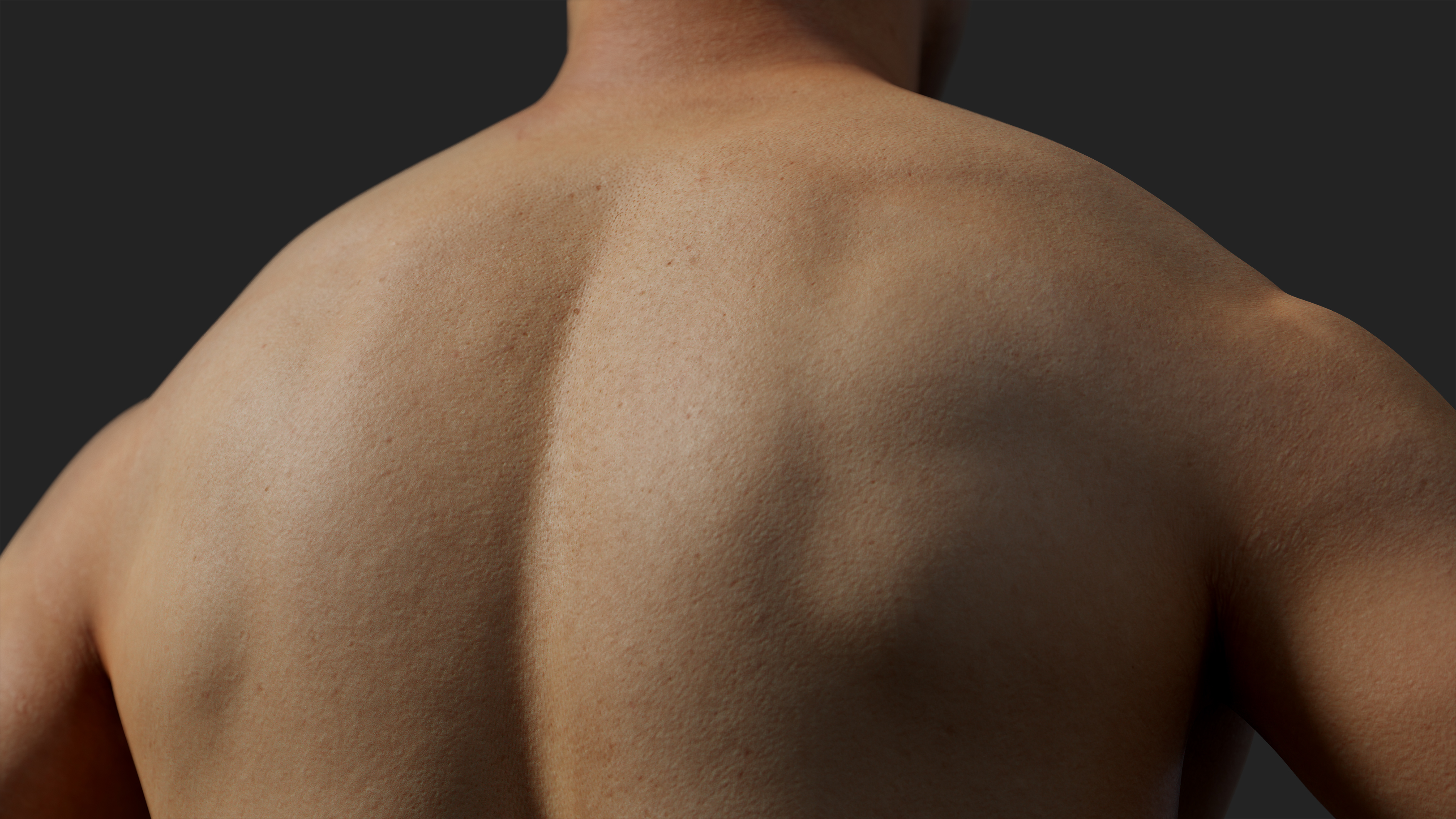 Male Back Texture Animation Ready Body Scan / Male 10