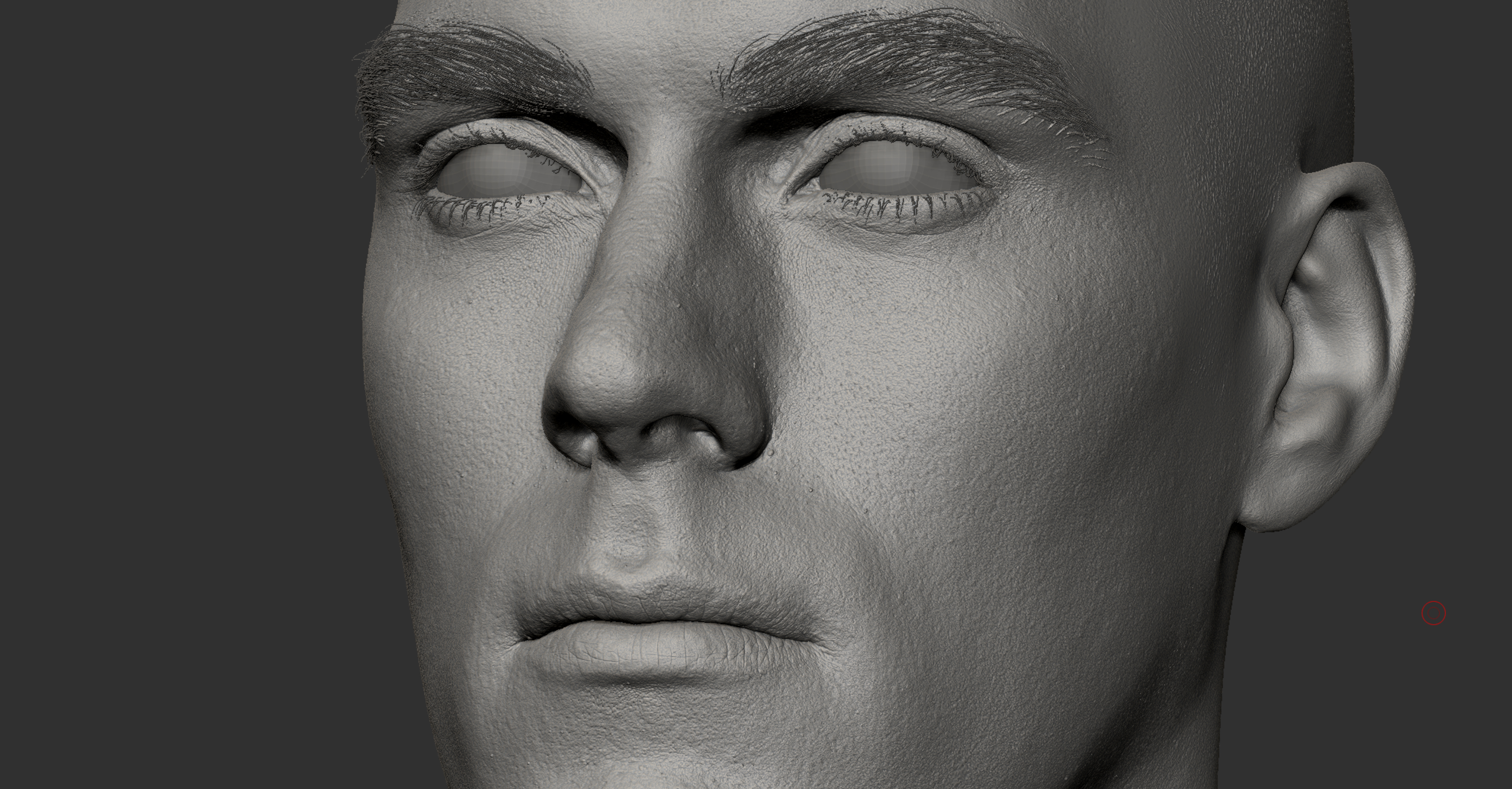 Animation Ready Body Scan / Male 11