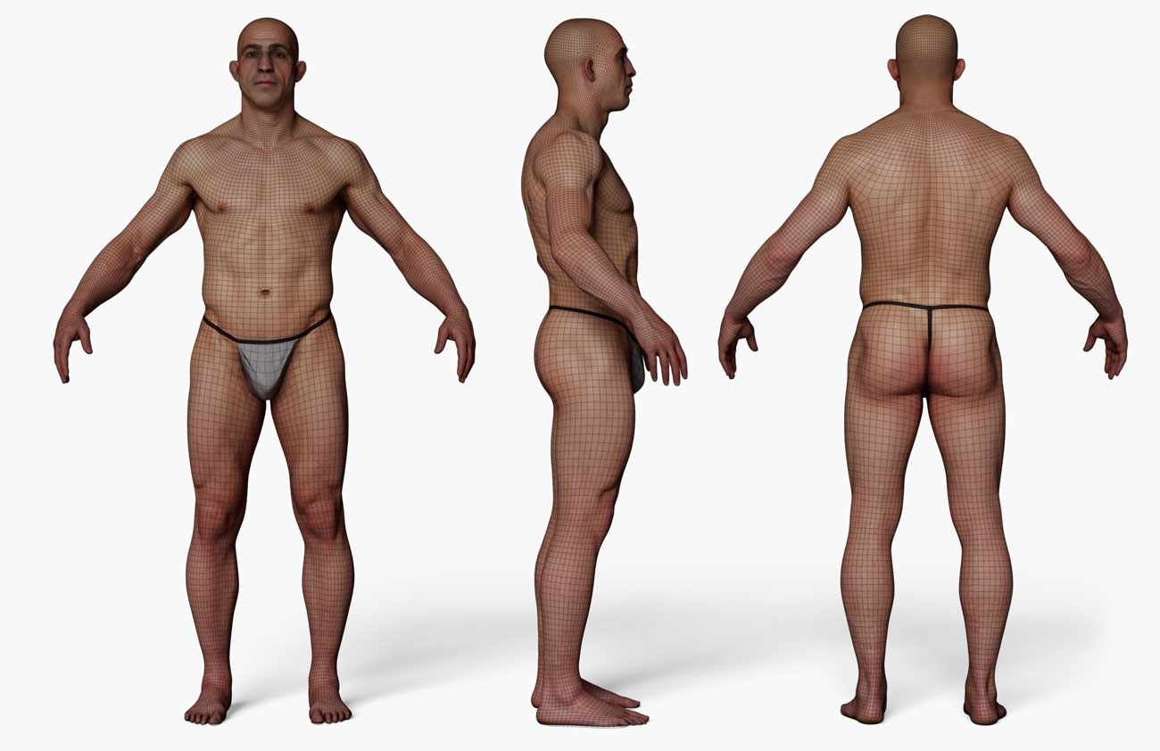 Male 3D body wireframe mesh