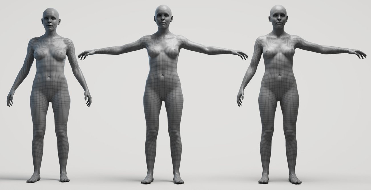 Natural Female 01 T-Pose Base Mesh  3D Characters & People ~ Creative  Market