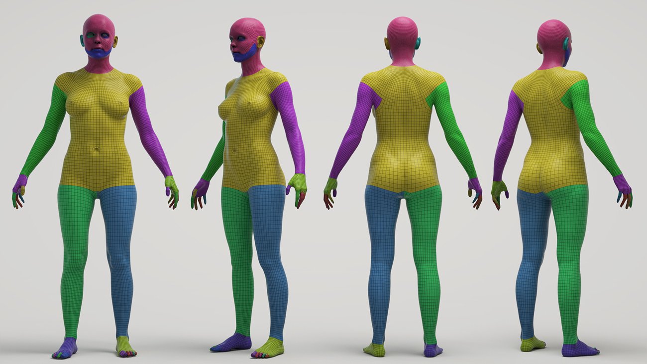 Ultimate Female Base Mesh 3d model pack