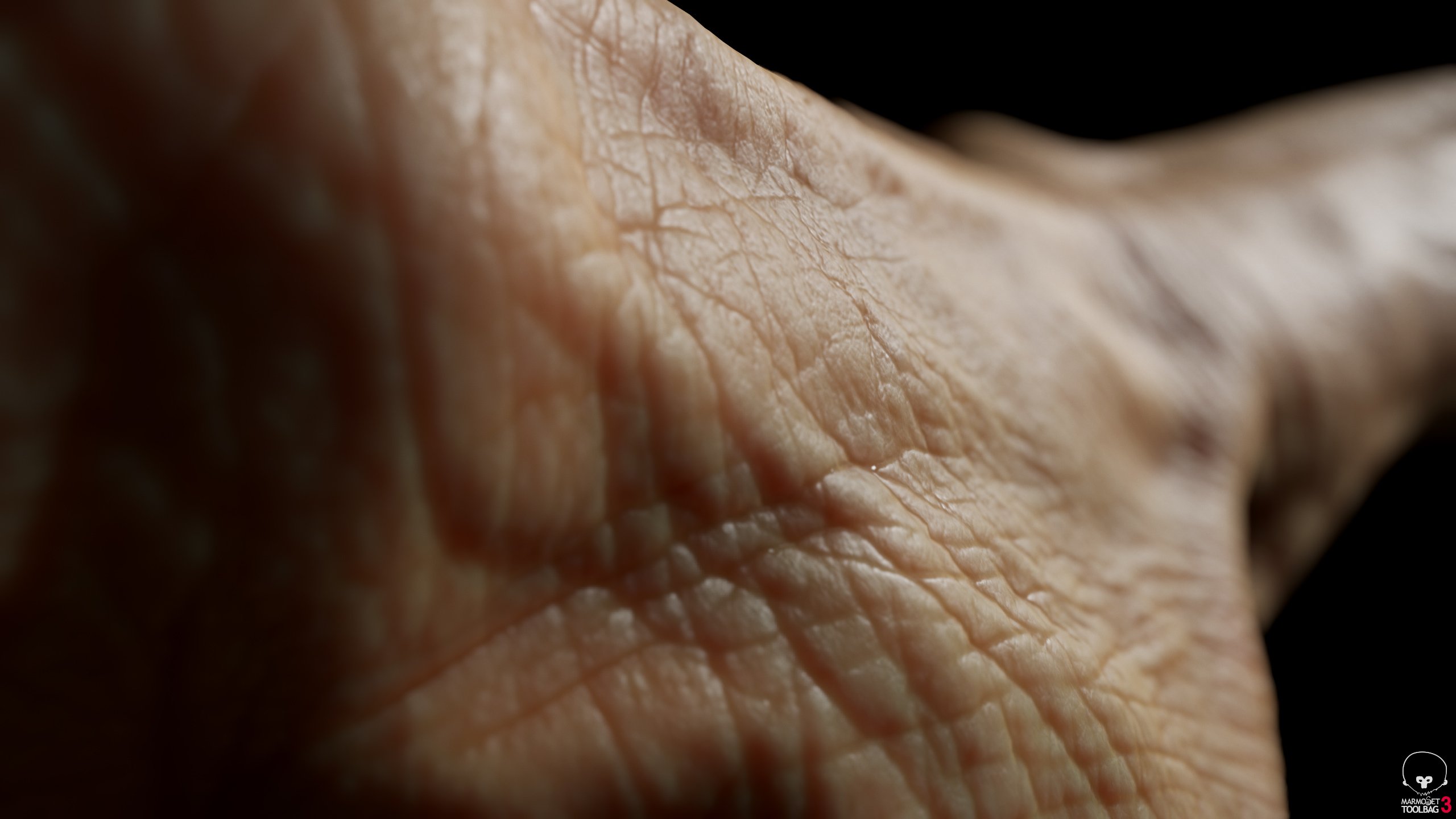 Hand 3D Model Render Realtime