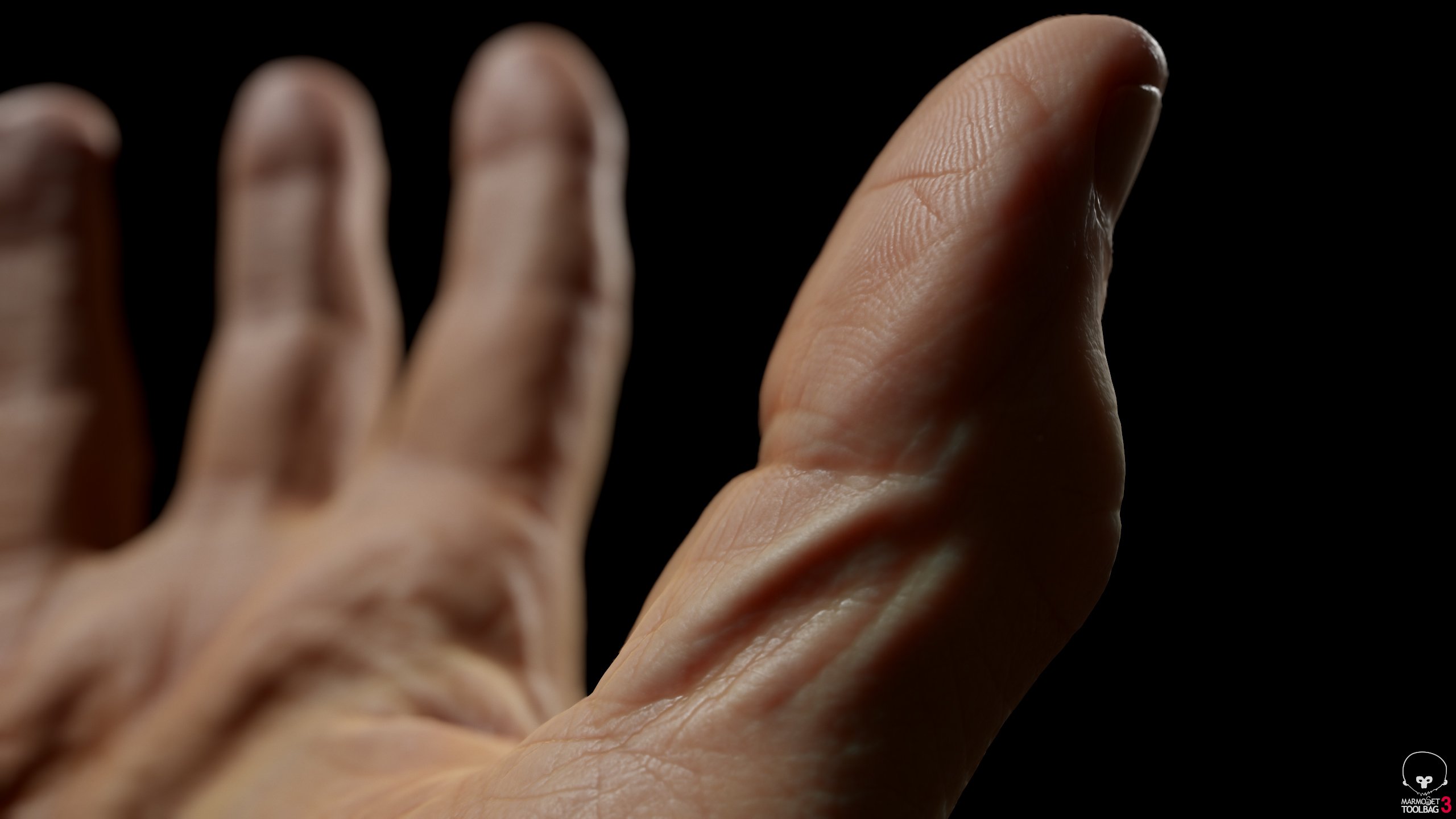 Realistic 3D Hand Model