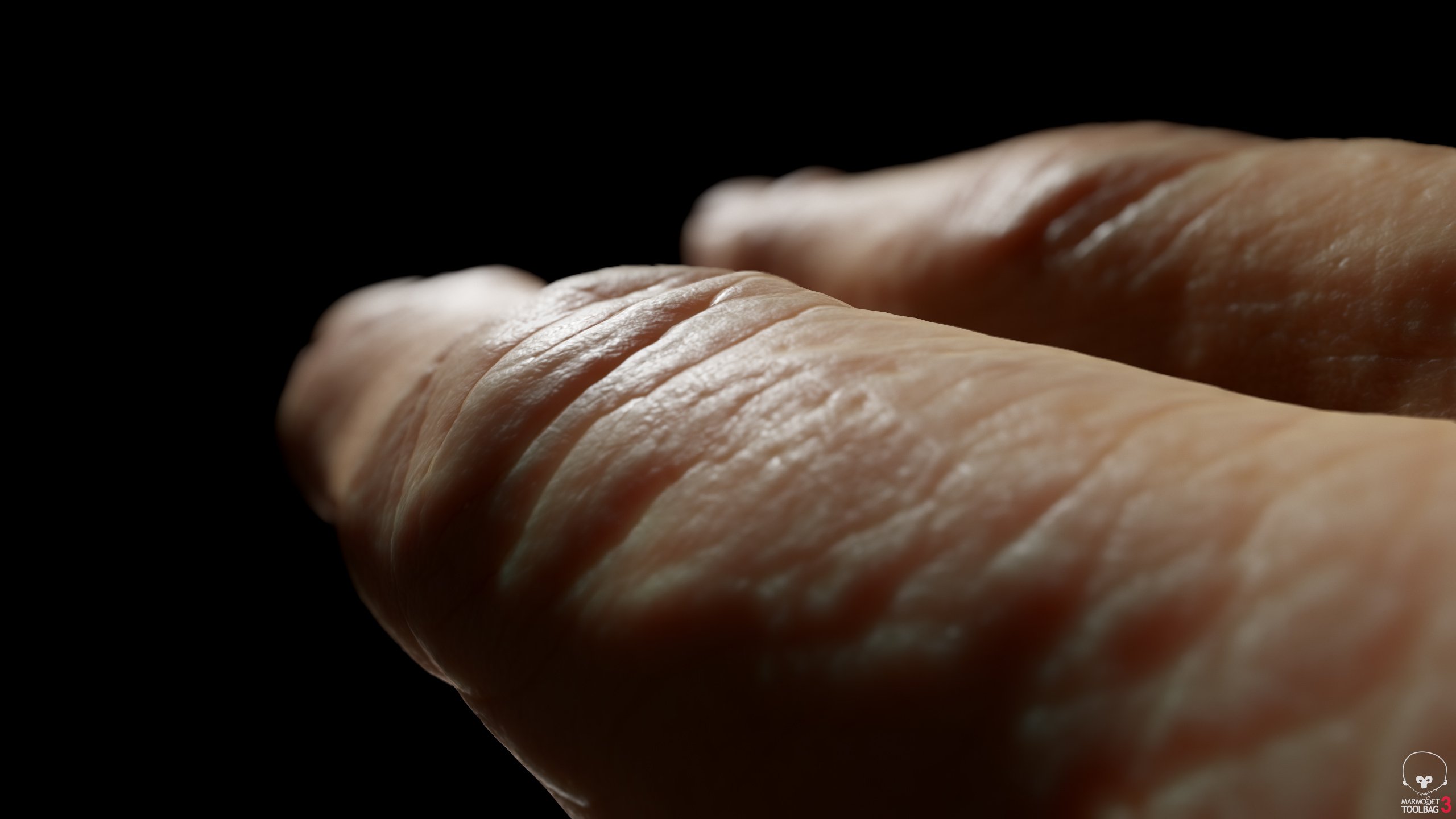 Download 3D Hand Models from scans